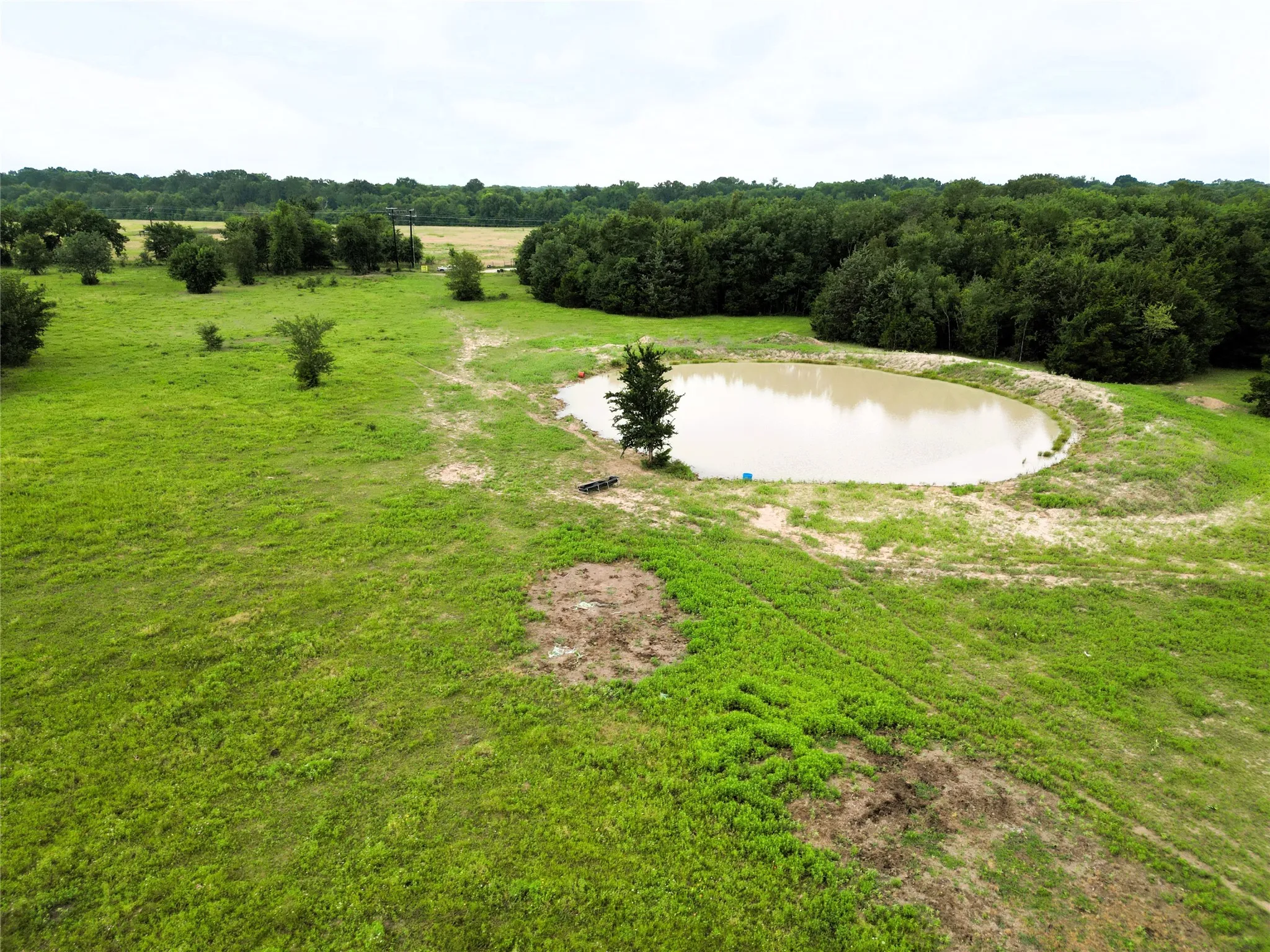 Ranch For Sale in Hopkins County , 30.213Ac County Road 4766, Sulphur Springs, Texas 75482, 0, 0, Garage spaces, 0 Sqft, built in 0, mls#21291380, Real Estate Agent in Sulphur Springs, Homes For Sale in Hopkins county, Homes For Sale in Sulphur Springs, Realtor in Sulphur Springs Texas, Real Estate Brokerage Independent Realty Texas, Luminita Cordes Realtor