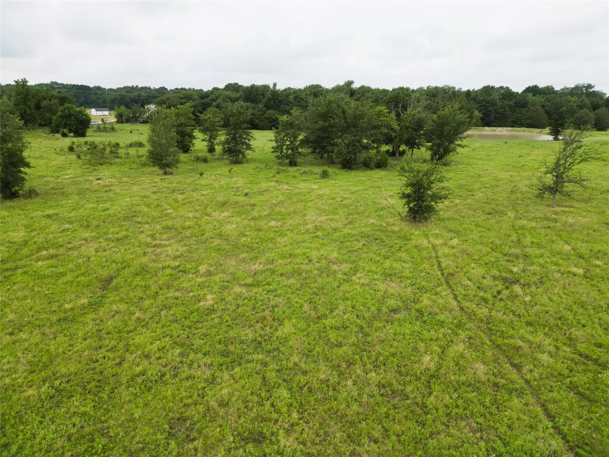 Ranch For Sale in Hopkins County , 30.213Ac County Road 4766, Sulphur Springs, Texas 75482, 0, 0, Garage spaces, 0 Sqft, built in 0, mls#21291380, Real Estate Agent in Sulphur Springs, Homes For Sale in Hopkins county, Homes For Sale in Sulphur Springs, Realtor in Sulphur Springs Texas, Real Estate Brokerage Independent Realty Texas, Luminita Cordes Realtor