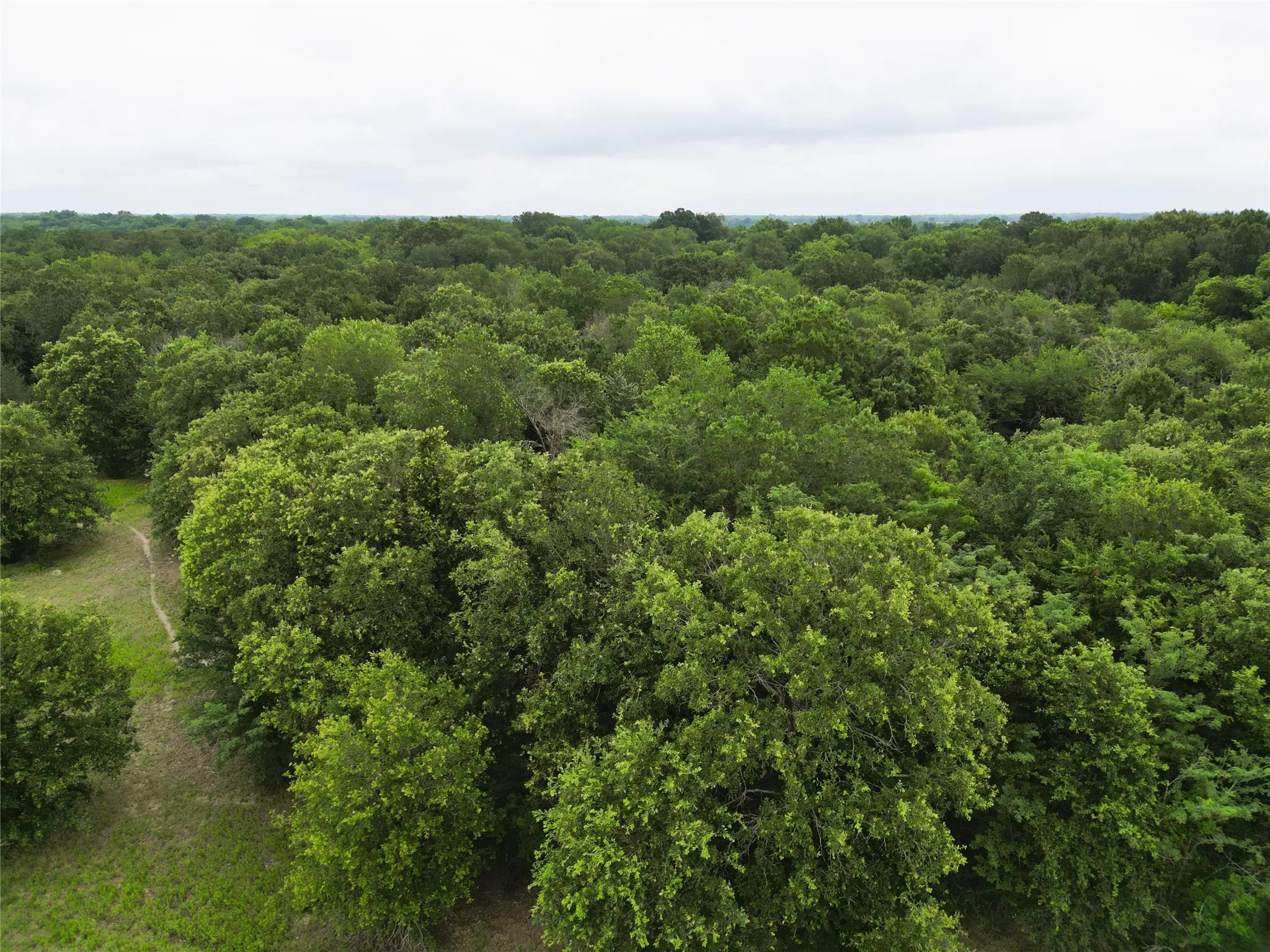 Ranch For Sale in Hopkins County , 30.213Ac County Road 4766, Sulphur Springs, Texas 75482, 0, 0, Garage spaces, 0 Sqft, built in 0, mls#21291380, Real Estate Agent in Sulphur Springs, Homes For Sale in Hopkins county, Homes For Sale in Sulphur Springs, Realtor in Sulphur Springs Texas, Real Estate Brokerage Independent Realty Texas, Luminita Cordes Realtor