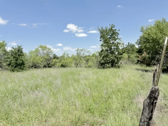 Unimproved Land For Sale in Clay County , 00 Ambruss Jones Road, Henrietta, Texas 76365, 0, 0, Garage spaces, 0 Sqft, built in 0, Price $275,000, mls#21291811, Real Estate Agent in Henrietta, Homes For Sale in Clay county, Homes For Sale in Henrietta, Realtor in Henrietta Texas, Real Estate Brokerage Independent Realty Texas, Luminita Cordes Realtor