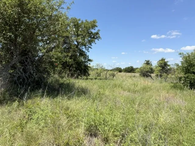 Unimproved Land For Sale in Clay County , 00 Ambruss Jones Road, Henrietta, Texas 76365, 0, 0, Garage spaces, 0 Sqft, built in 0, Price $275,000, mls#21291811, Real Estate Agent in Henrietta, Homes For Sale in Clay county, Homes For Sale in Henrietta, Realtor in Henrietta Texas, Real Estate Brokerage Independent Realty Texas, Luminita Cordes Realtor