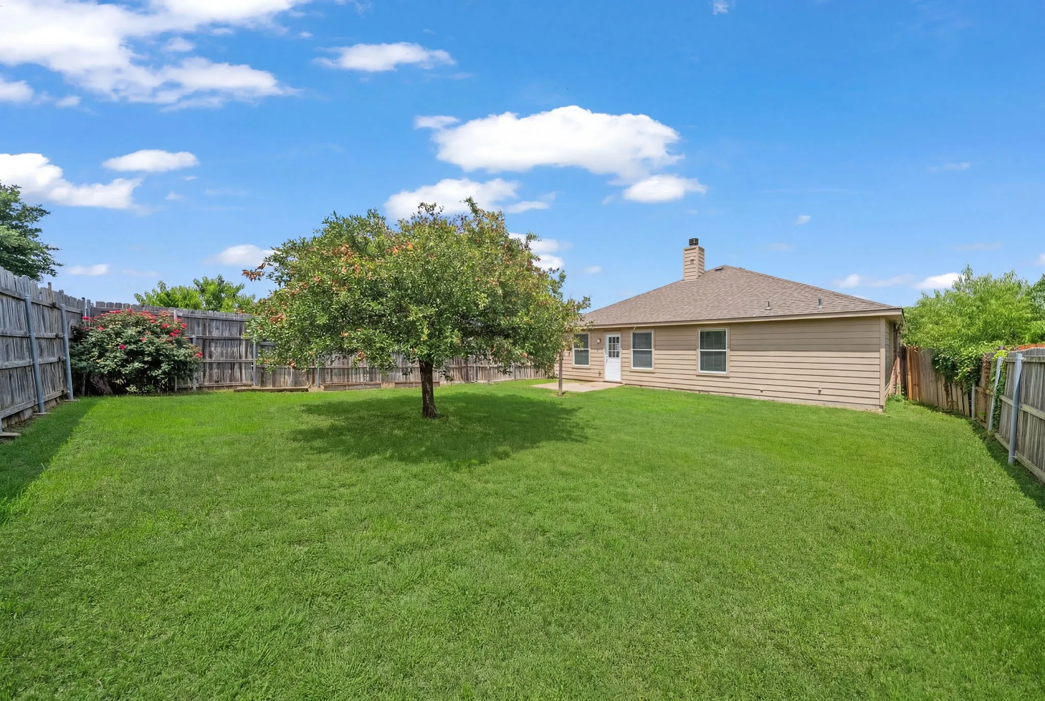 Expansive green lawn with a mature shade tree, fully enclosed by a wood privacy fence
