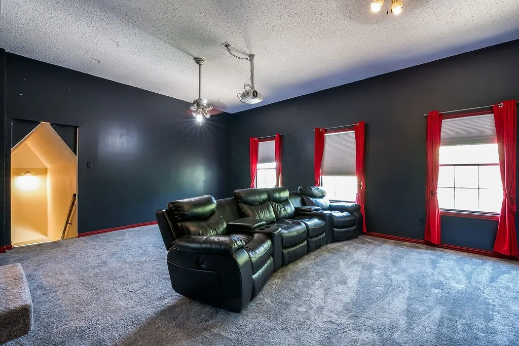Carpeted entertainment space featuring dark walls and multiple windows