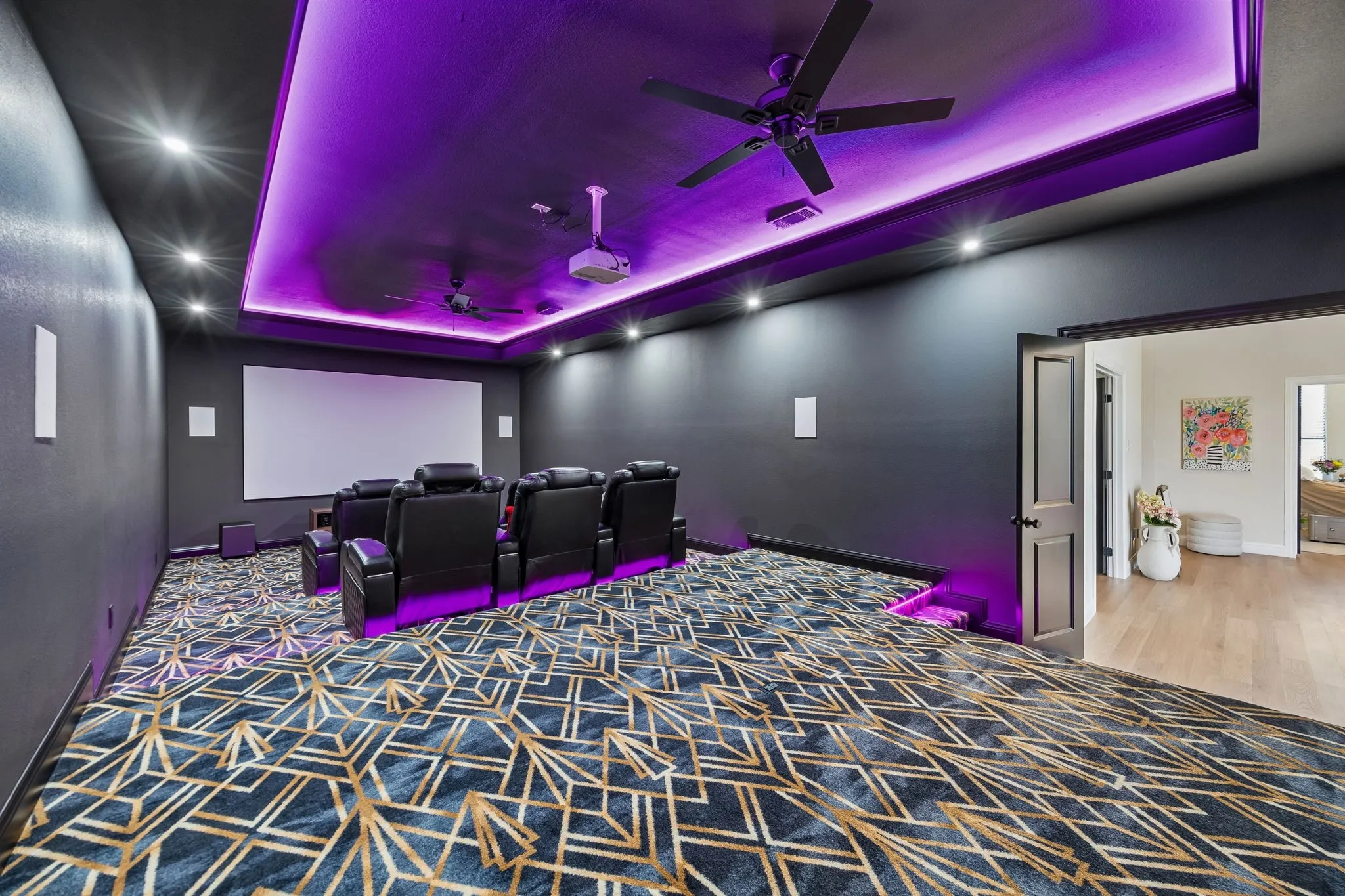Movie Room!