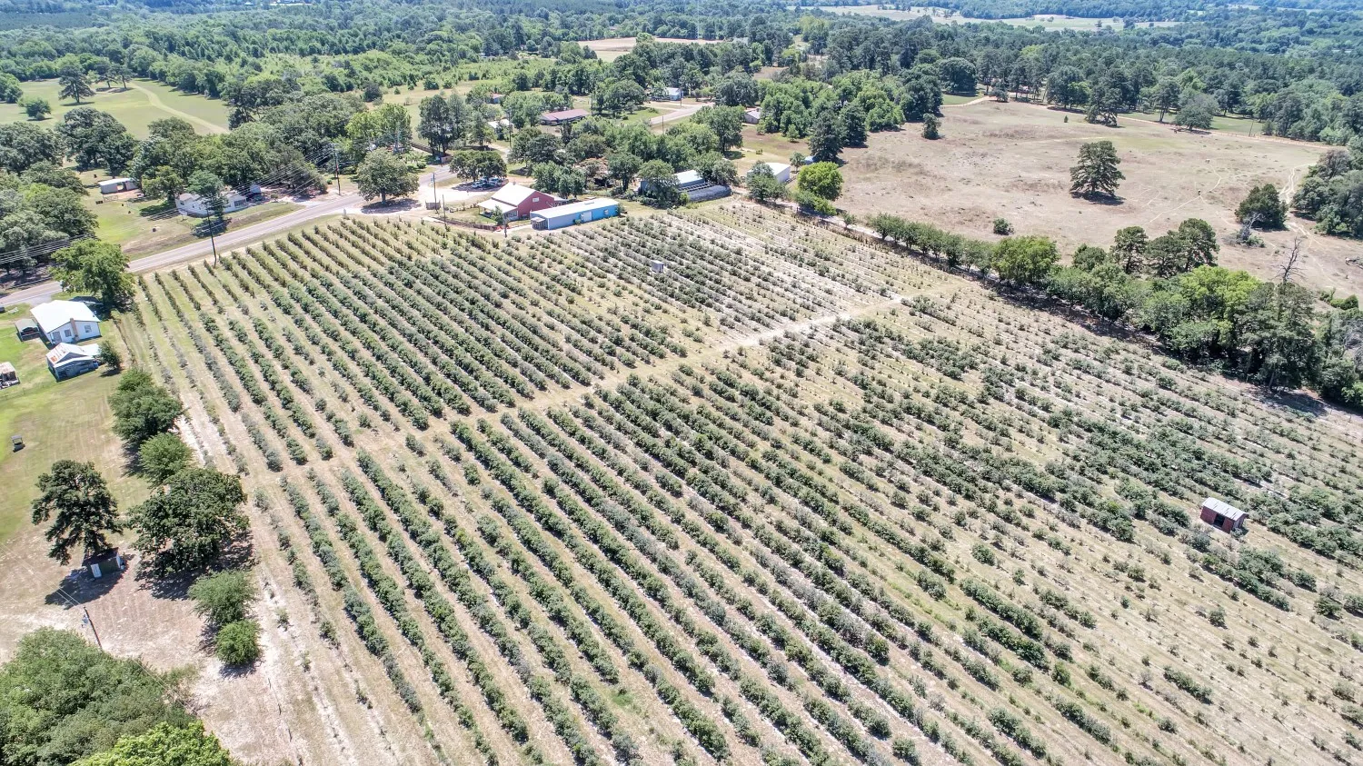 Retail For Sale in Van Zandt County , 10268 FM 314, Edom, Texas 75756, 0, 0, Garage spaces, 0 Sqft, built in 2000, Price $950,000, mls#21291982, Real Estate Agent in Edom, Homes For Sale in Van Zandt county, Homes For Sale in Edom, Realtor in Edom Texas, Real Estate Brokerage Independent Realty Texas, Luminita Cordes Realtor