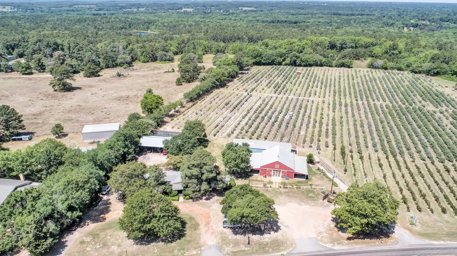 Retail For Sale in Van Zandt County , 10268 FM 314, Edom, Texas 75756, 0, 0, Garage spaces, 0 Sqft, built in 2000, Price $950,000, mls#21291982, Real Estate Agent in Edom, Homes For Sale in Van Zandt county, Homes For Sale in Edom, Realtor in Edom Texas, Real Estate Brokerage Independent Realty Texas, Luminita Cordes Realtor