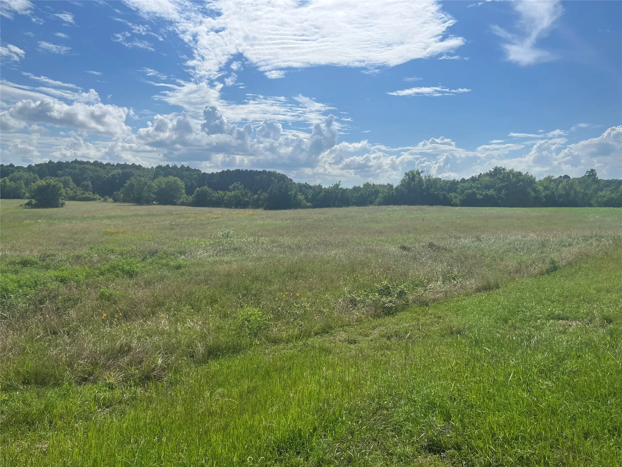 5 acres of land bring your building plans