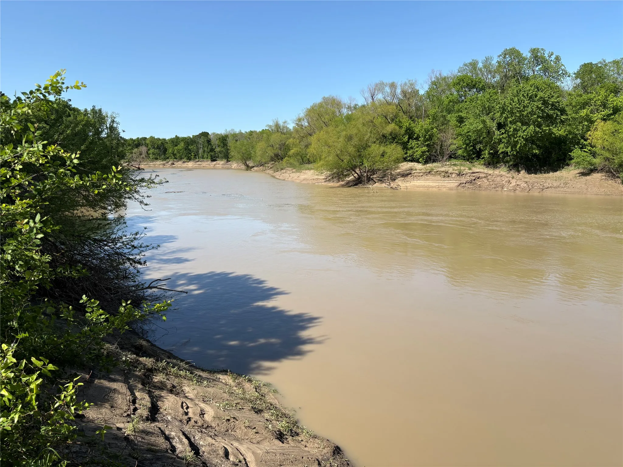 Cayuga ISD location appeals to buyers seeking country living in East Texas.