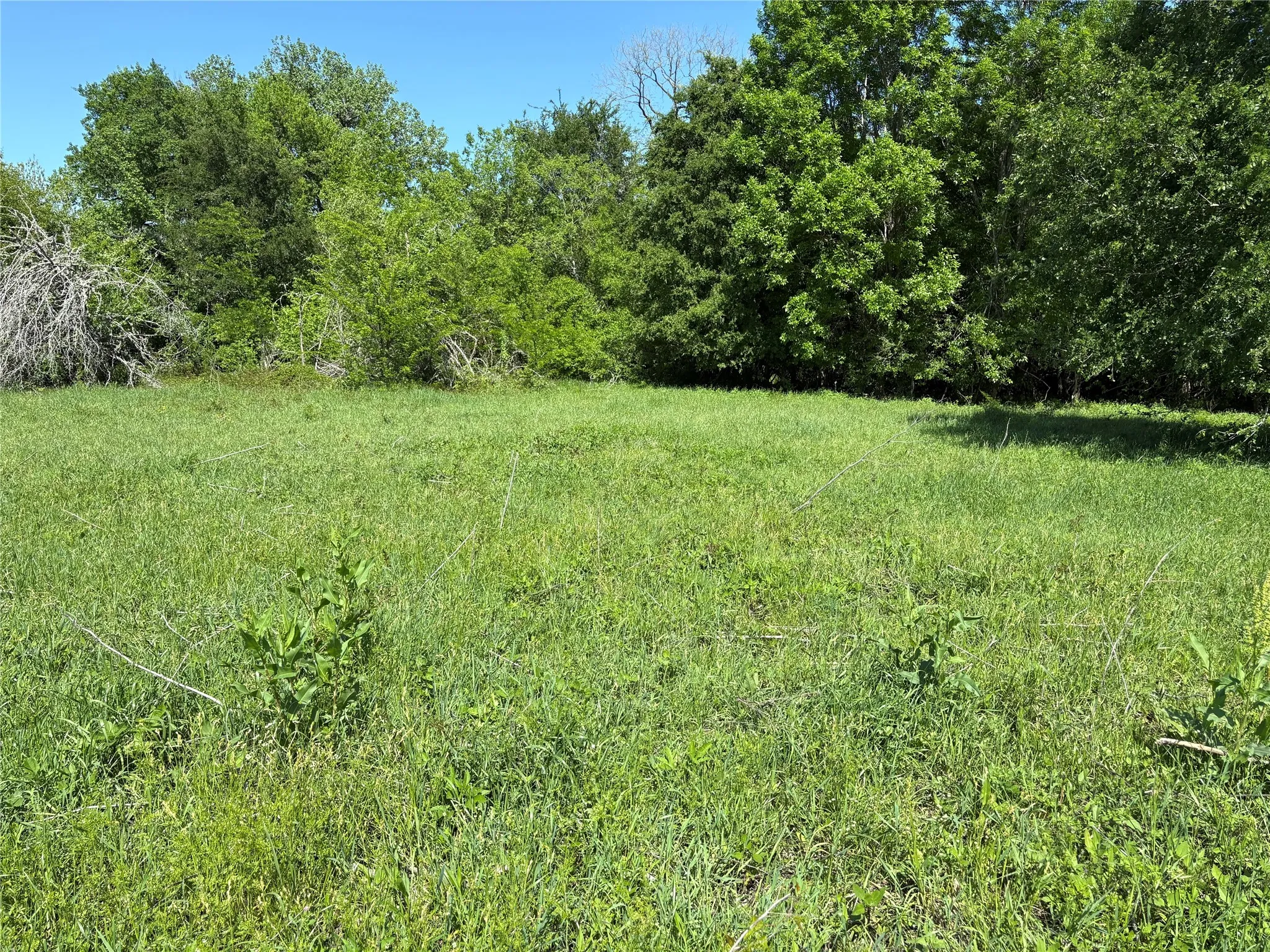 Bring your barndominium plans and enjoy ten acres of freedom, privacy, and natural beauty.