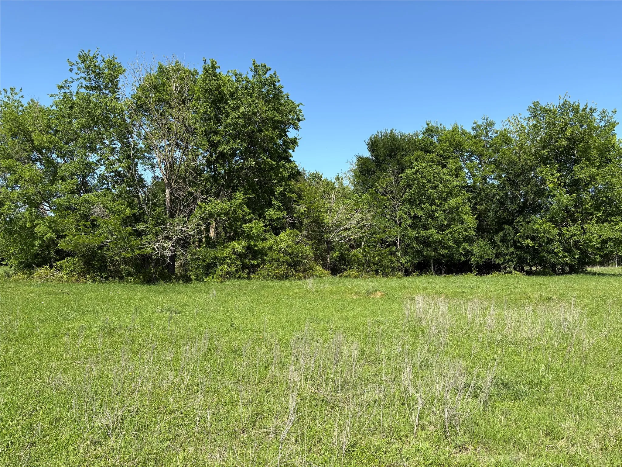 Mostly cleared acreage provides the perfect setting for a custom home, barndominium, or Texas homestead