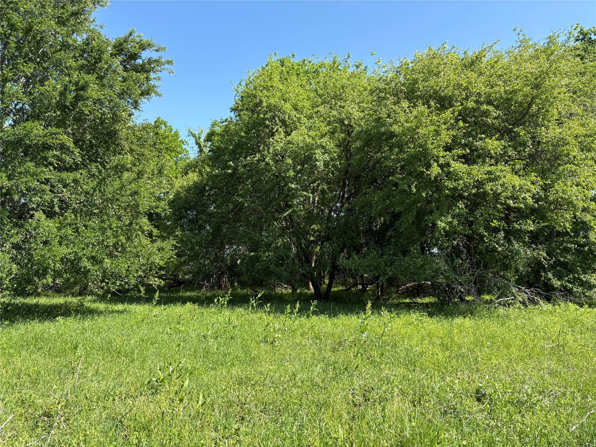 Build your dream home surrounded by nature, wildlife, and peaceful countryside.