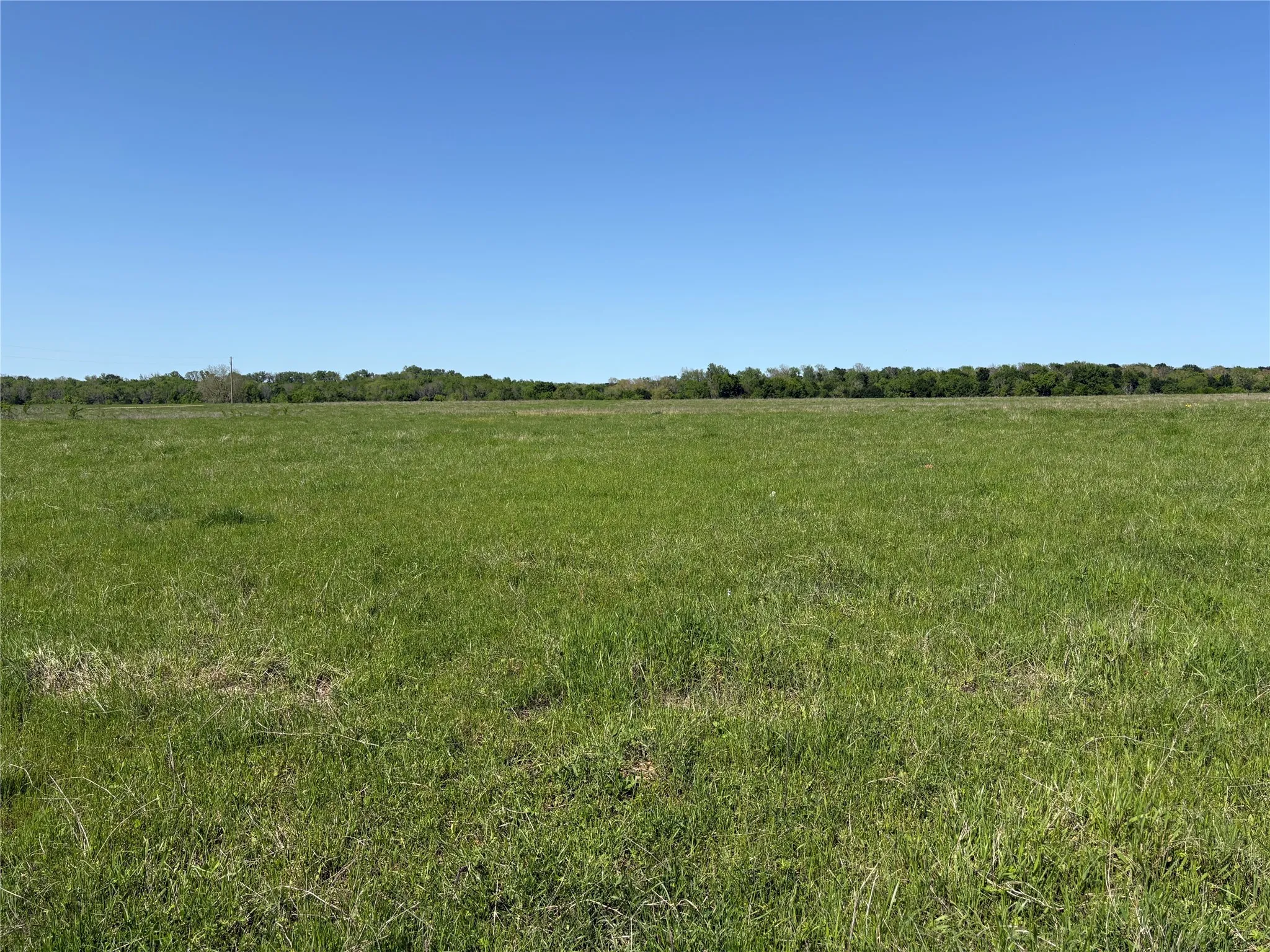 Ten acres of Texas land ready for your country living vision.