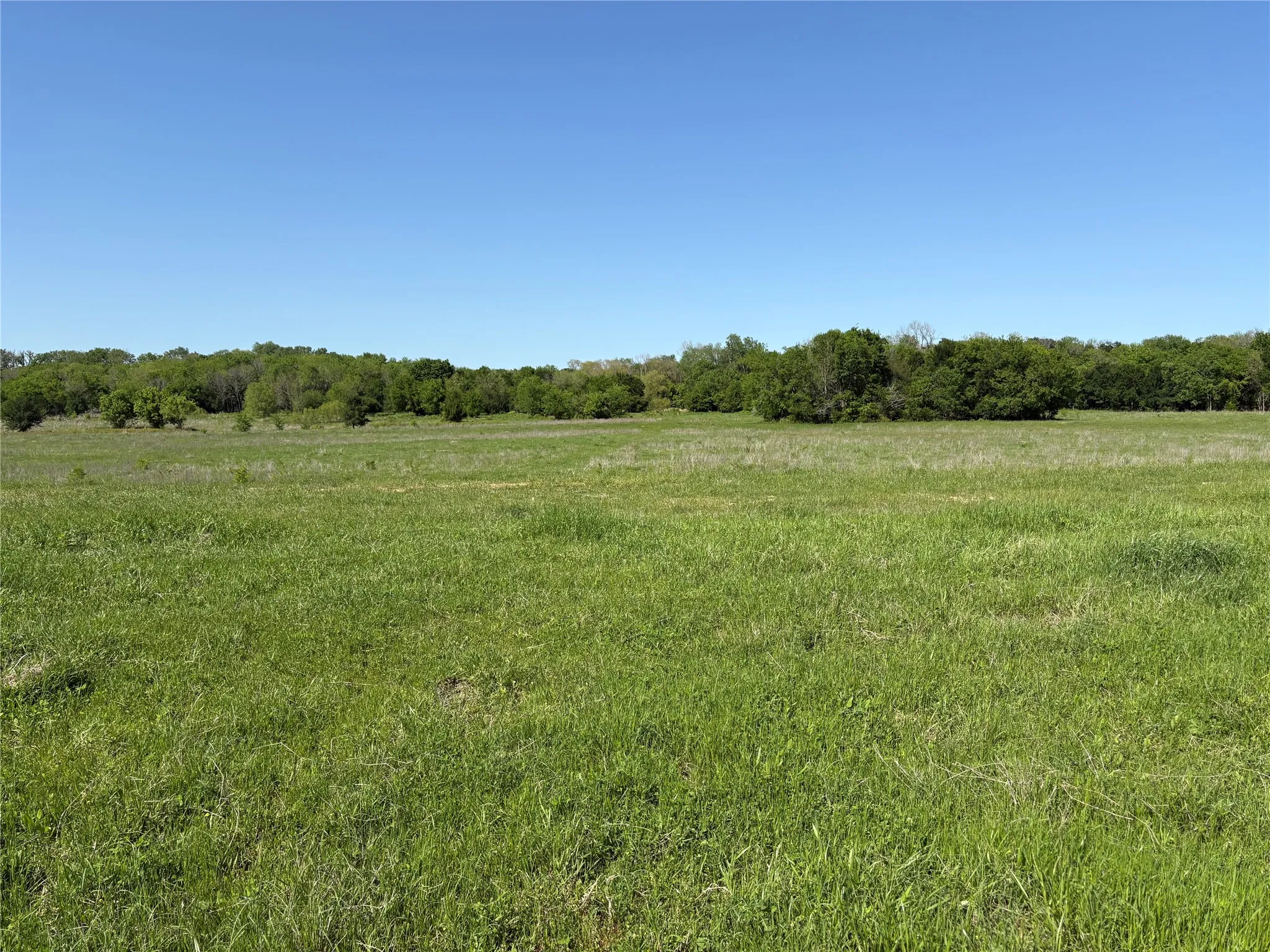 This River Point acreage is ideal for DFW and Houston relocation buyers.