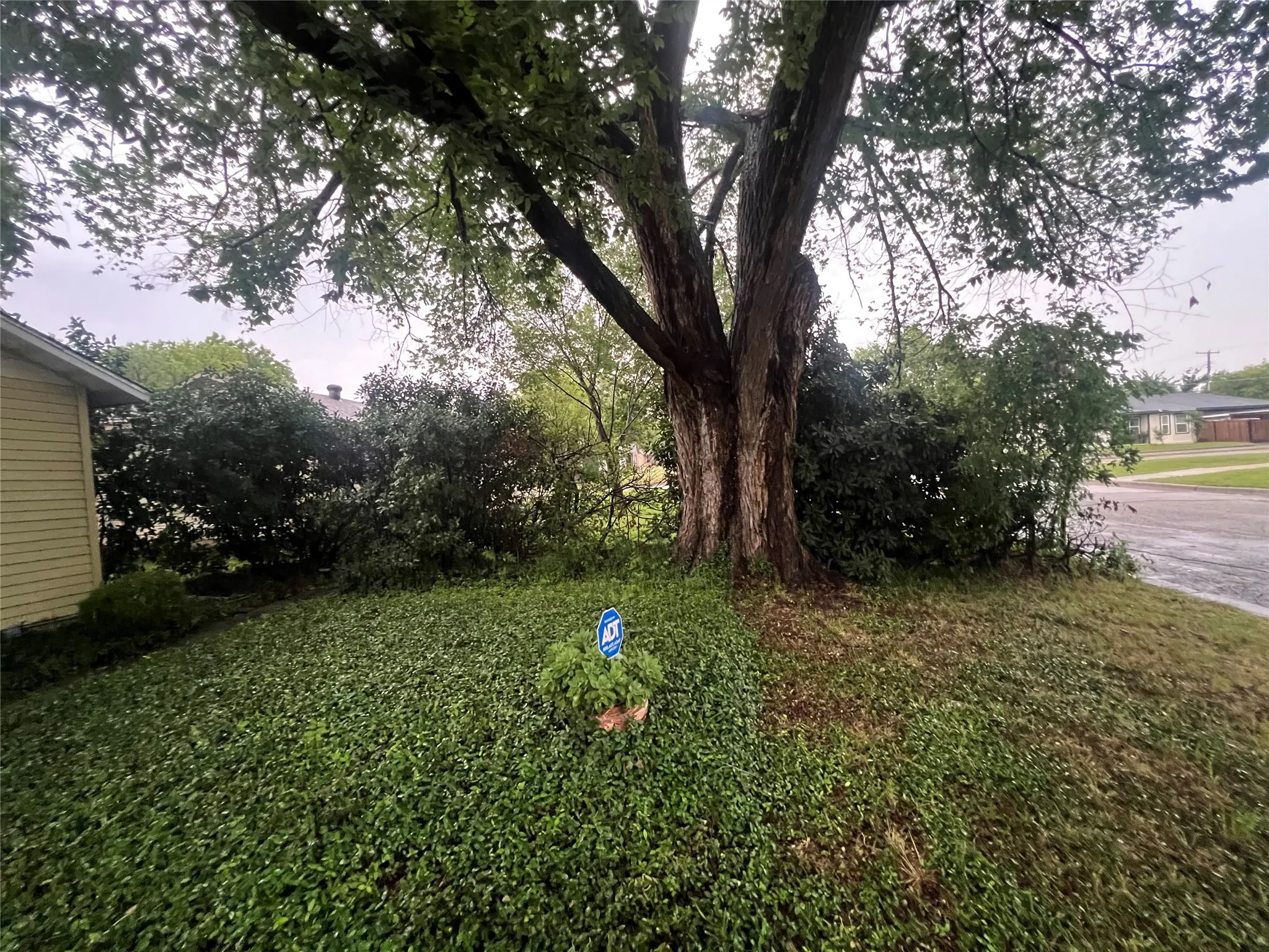 Single Family Residence For Rent in Tarrant County , 4233 Voncille Street, Haltom City, Texas 76117, 3 Bedroom, 1 Bathroom, 1 Garage spaces, 1,085 Sqft, built in 1953, mls#21289732, Real Estate Agent in Haltom City, Homes For Rent in Tarrant county, Homes For Rent in Haltom City, Realtor in Haltom City Texas, Real Estate Brokerage Independent Realty Texas, Luminita Cordes Realtor