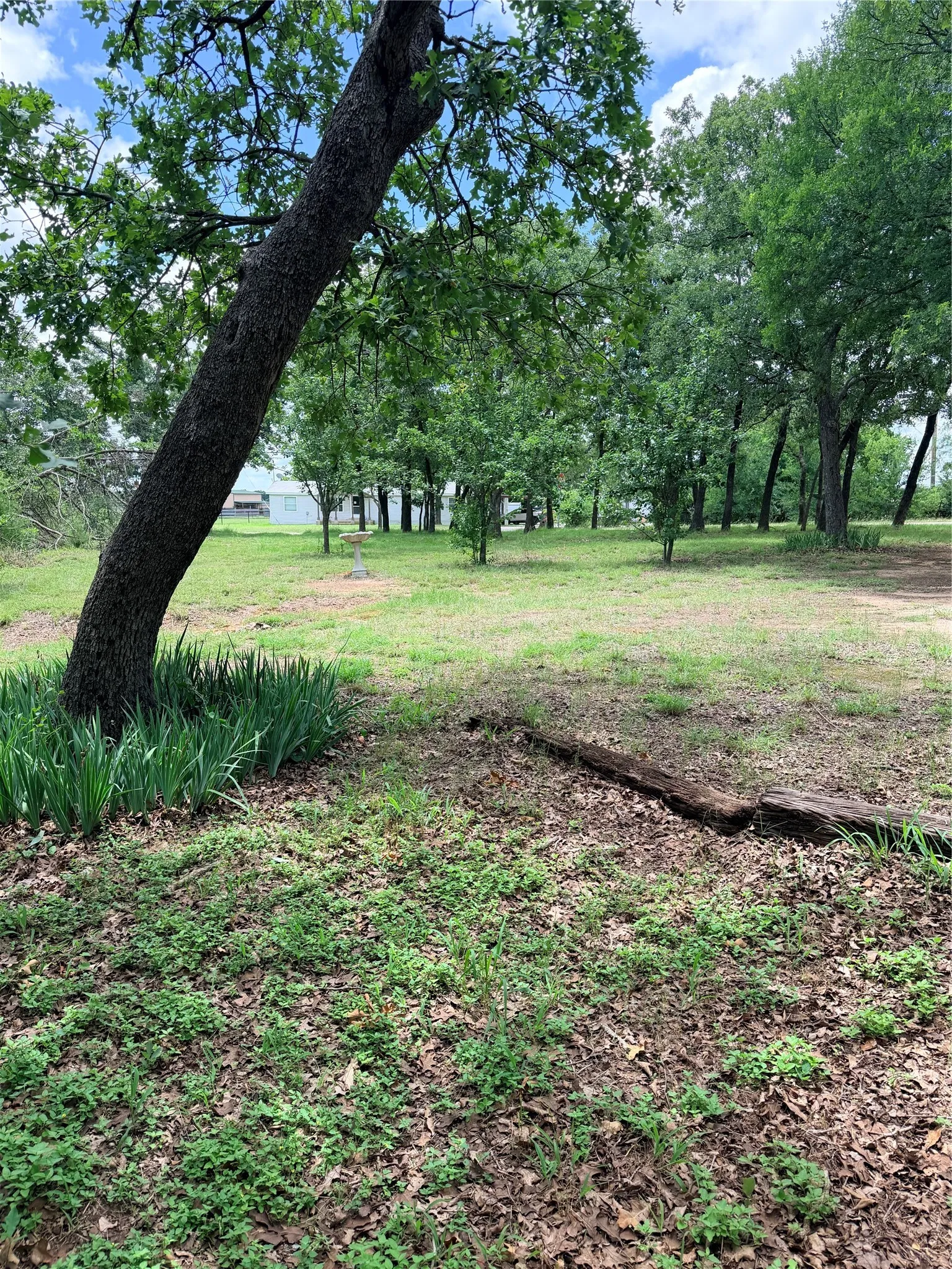 Single Family Residence For Sale in Johnson County , 2429 County Road 427a, Cleburne, Texas 76031, 3 Bedroom, 1 Bathroom, Garage spaces, 1,936 Sqft, built in 1975, mls#21292167, Real Estate Agent in Cleburne, Homes For Sale in Johnson county, Homes For Sale in Cleburne, Realtor in Cleburne Texas, Real Estate Brokerage Independent Realty Texas, Luminita Cordes Realtor