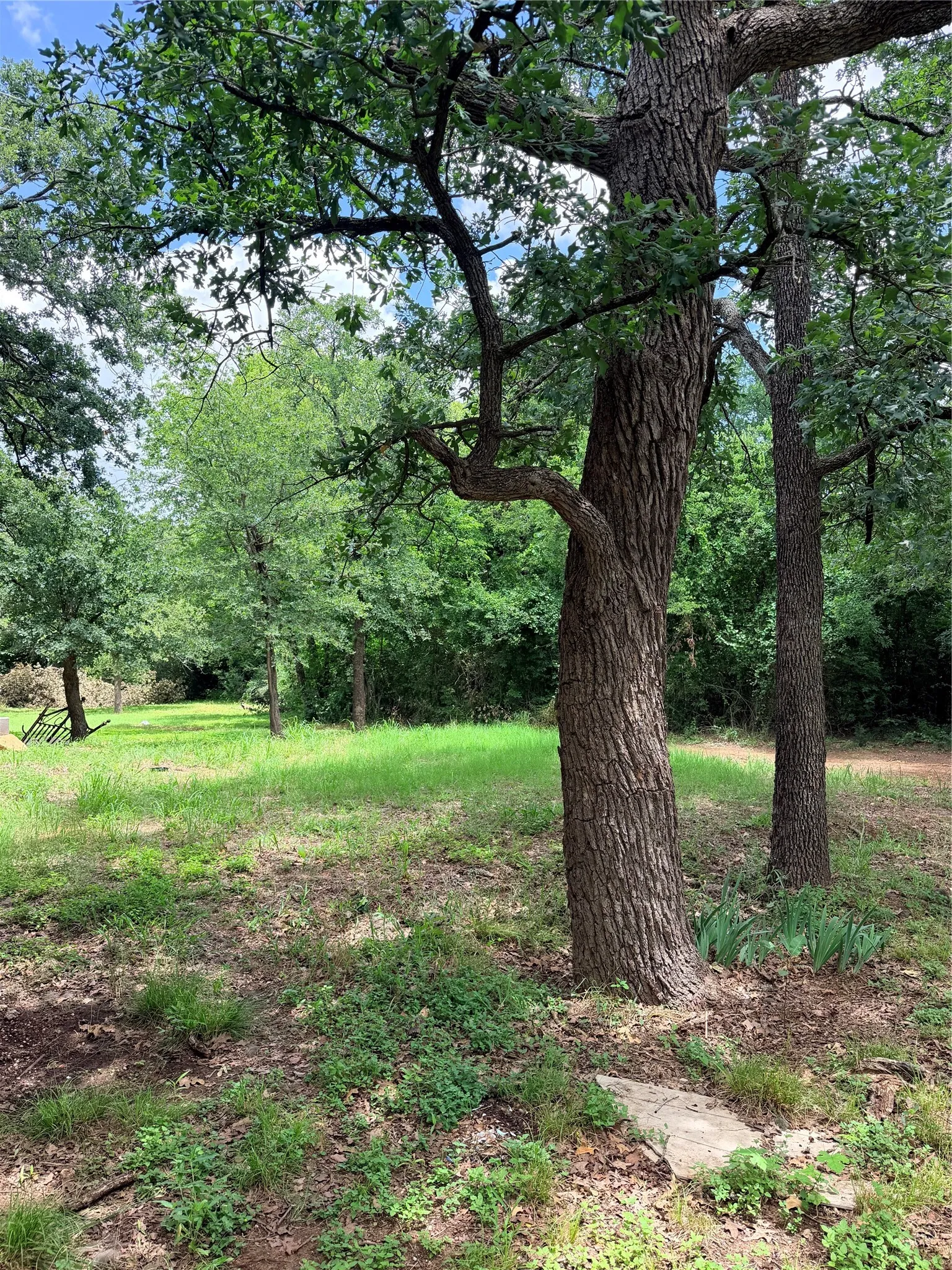 Single Family Residence For Sale in Johnson County , 2429 County Road 427a, Cleburne, Texas 76031, 3 Bedroom, 1 Bathroom, Garage spaces, 1,936 Sqft, built in 1975, mls#21292167, Real Estate Agent in Cleburne, Homes For Sale in Johnson county, Homes For Sale in Cleburne, Realtor in Cleburne Texas, Real Estate Brokerage Independent Realty Texas, Luminita Cordes Realtor