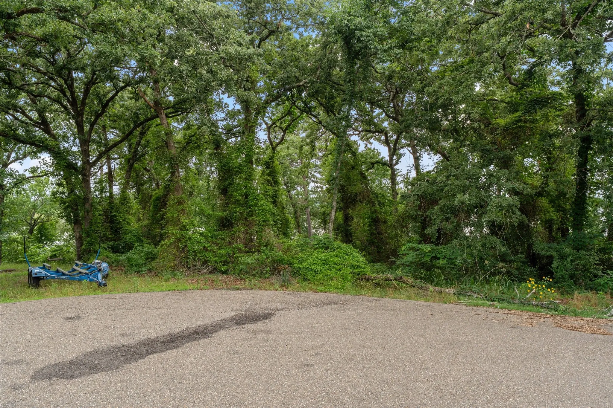Unimproved Land For Sale in Franklin (TX) County , 000 Camp Cypress Trail, Winnsboro, Texas 75494, 0, 0, Garage spaces, 0 Sqft, built in 0, mls#21262257, Real Estate Agent in Winnsboro, Homes For Sale in Franklin (TX) county, Homes For Sale in Winnsboro, Realtor in Winnsboro Texas, Real Estate Brokerage Independent Realty Texas, Luminita Cordes Realtor