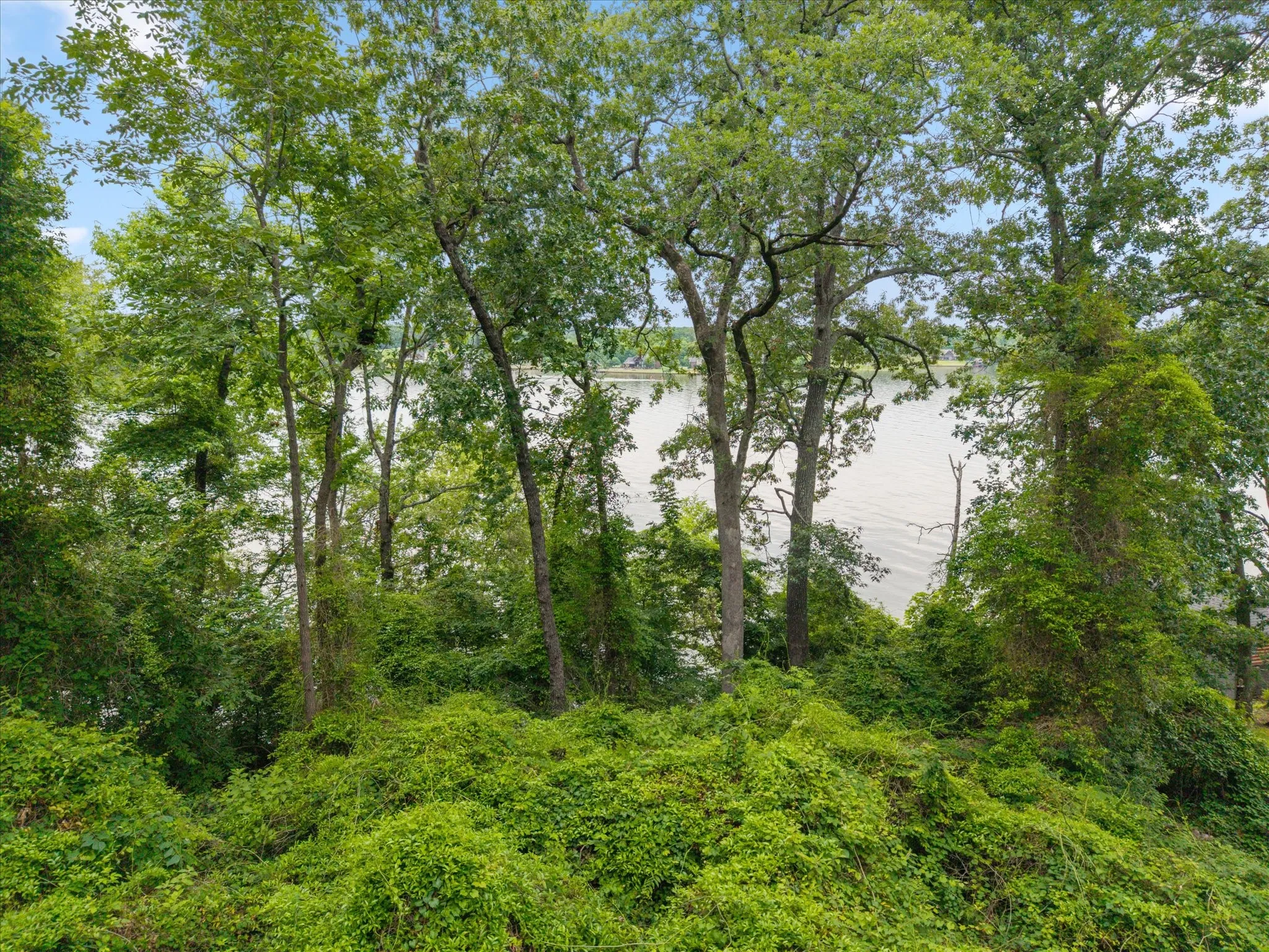 Unimproved Land For Sale in Franklin (TX) County , 000 Camp Cypress Trail, Winnsboro, Texas 75494, 0, 0, Garage spaces, 0 Sqft, built in 0, mls#21262257, Real Estate Agent in Winnsboro, Homes For Sale in Franklin (TX) county, Homes For Sale in Winnsboro, Realtor in Winnsboro Texas, Real Estate Brokerage Independent Realty Texas, Luminita Cordes Realtor