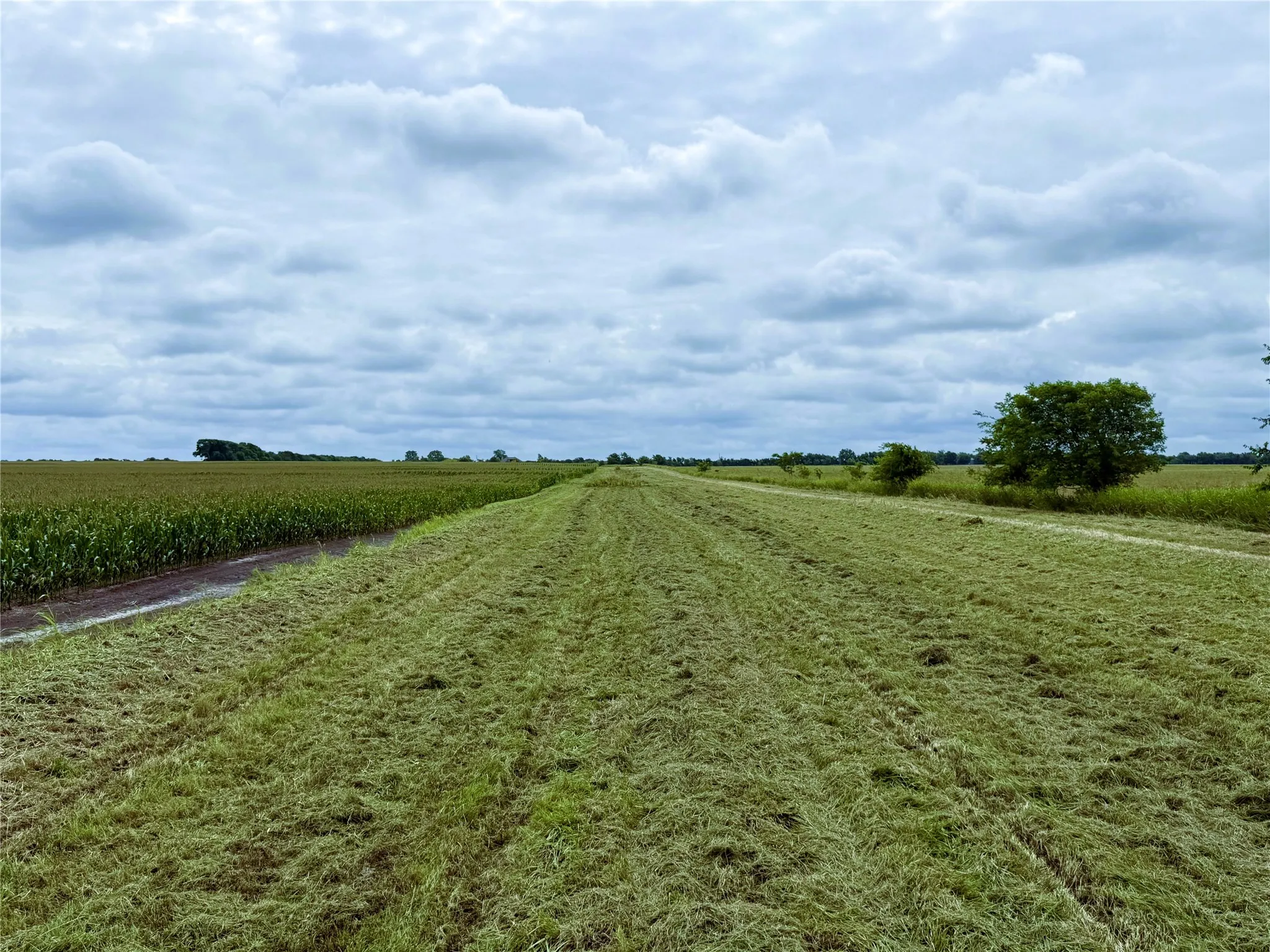 Grass waterway on the south side of the property for hay production,