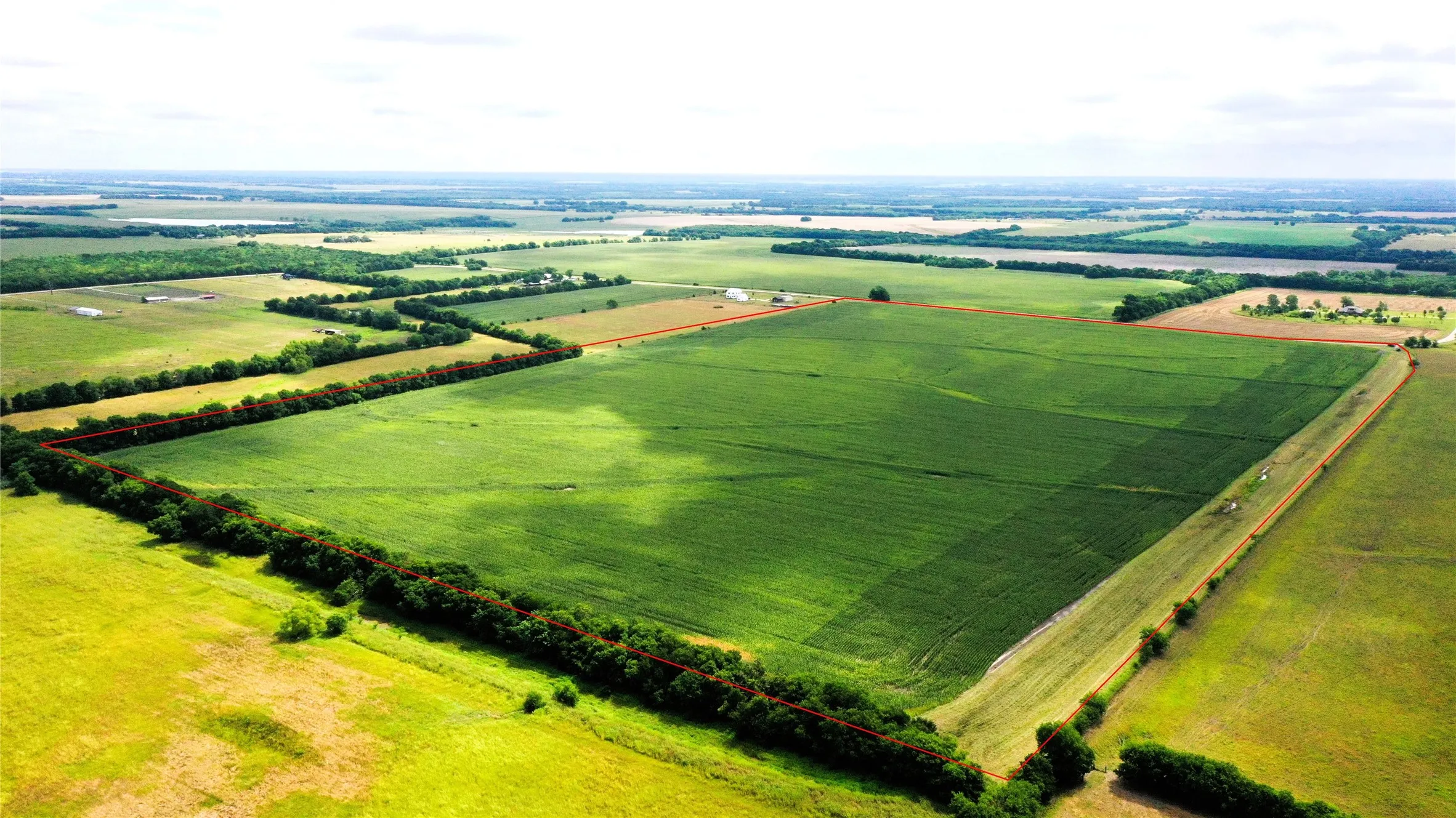 Unimproved Land For Sale in Fannin County , TBD FM HWY 272, Leonard, Texas 75452, 0, 0, Garage spaces, 0 Sqft, built in 0, mls#21288604, Real Estate Agent in Leonard, Homes For Sale in Fannin county, Homes For Sale in Leonard, Realtor in Leonard Texas, Real Estate Brokerage Independent Realty Texas, Luminita Cordes Realtor