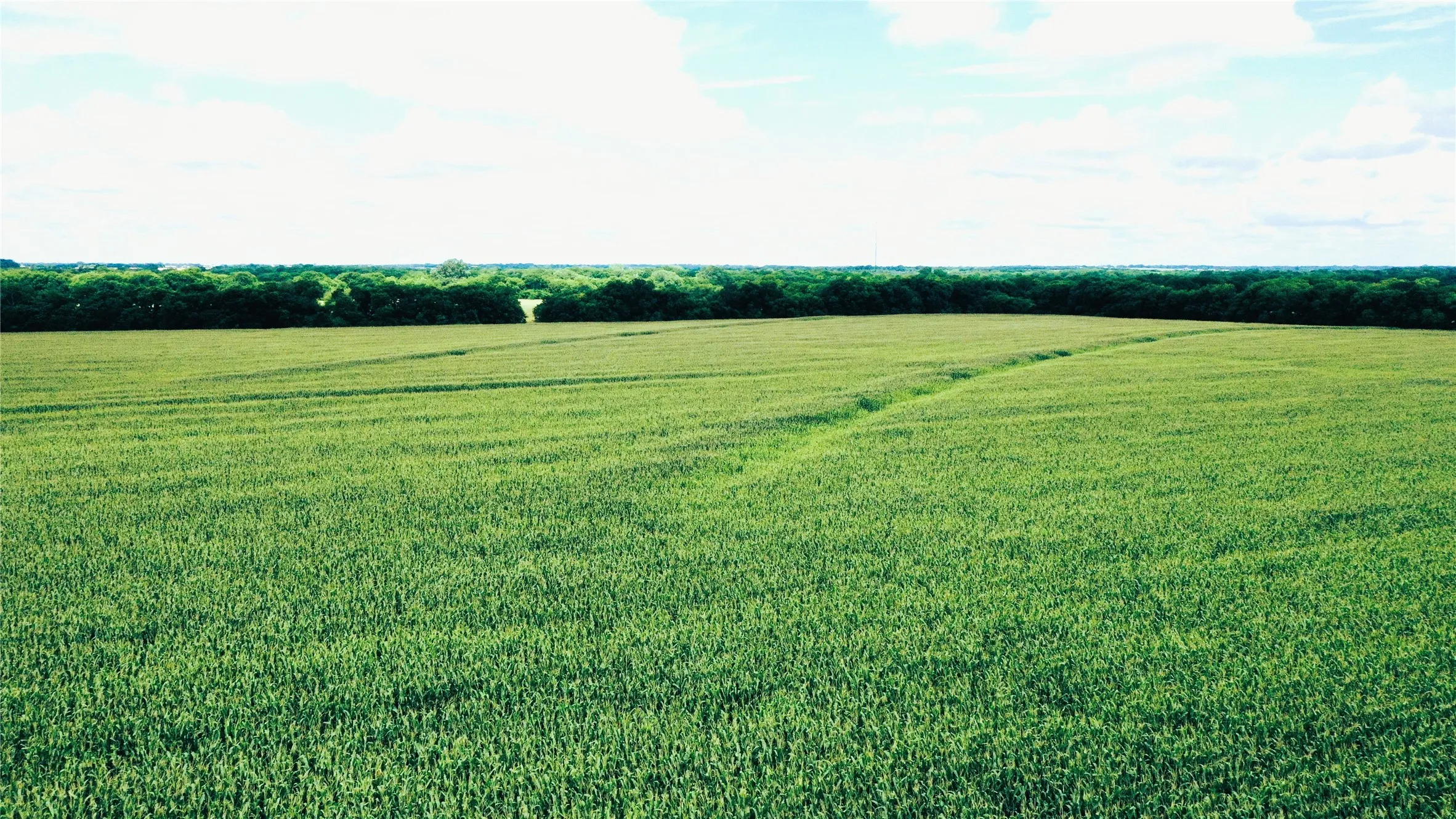 Unimproved Land For Sale in Fannin County , TBD FM HWY 272, Leonard, Texas 75452, 0, 0, Garage spaces, 0 Sqft, built in 0, mls#21288604, Real Estate Agent in Leonard, Homes For Sale in Fannin county, Homes For Sale in Leonard, Realtor in Leonard Texas, Real Estate Brokerage Independent Realty Texas, Luminita Cordes Realtor