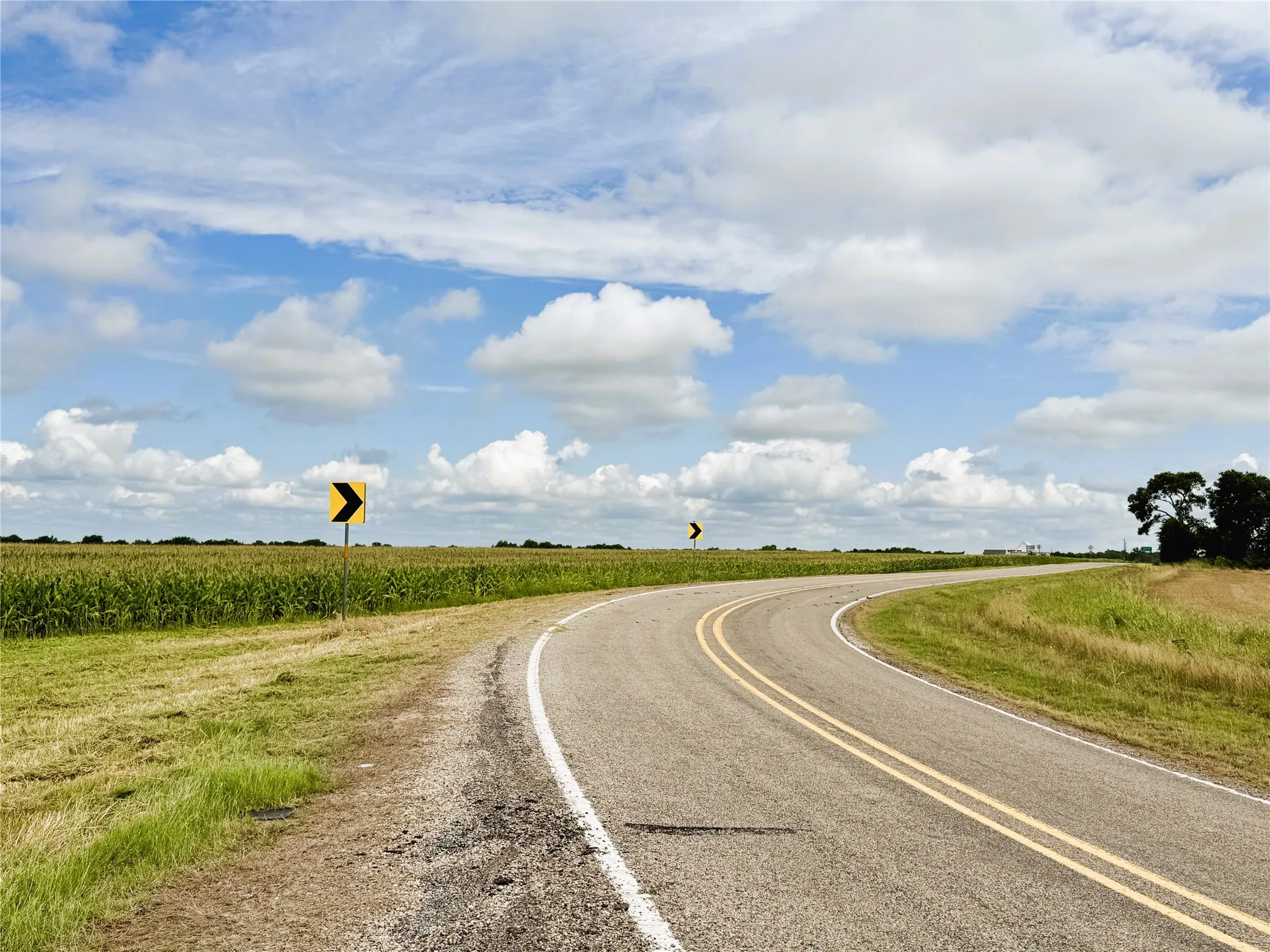 Unimproved Land For Sale in Fannin County , TBD FM HWY 272, Leonard, Texas 75452, 0, 0, Garage spaces, 0 Sqft, built in 0, mls#21288604, Real Estate Agent in Leonard, Homes For Sale in Fannin county, Homes For Sale in Leonard, Realtor in Leonard Texas, Real Estate Brokerage Independent Realty Texas, Luminita Cordes Realtor