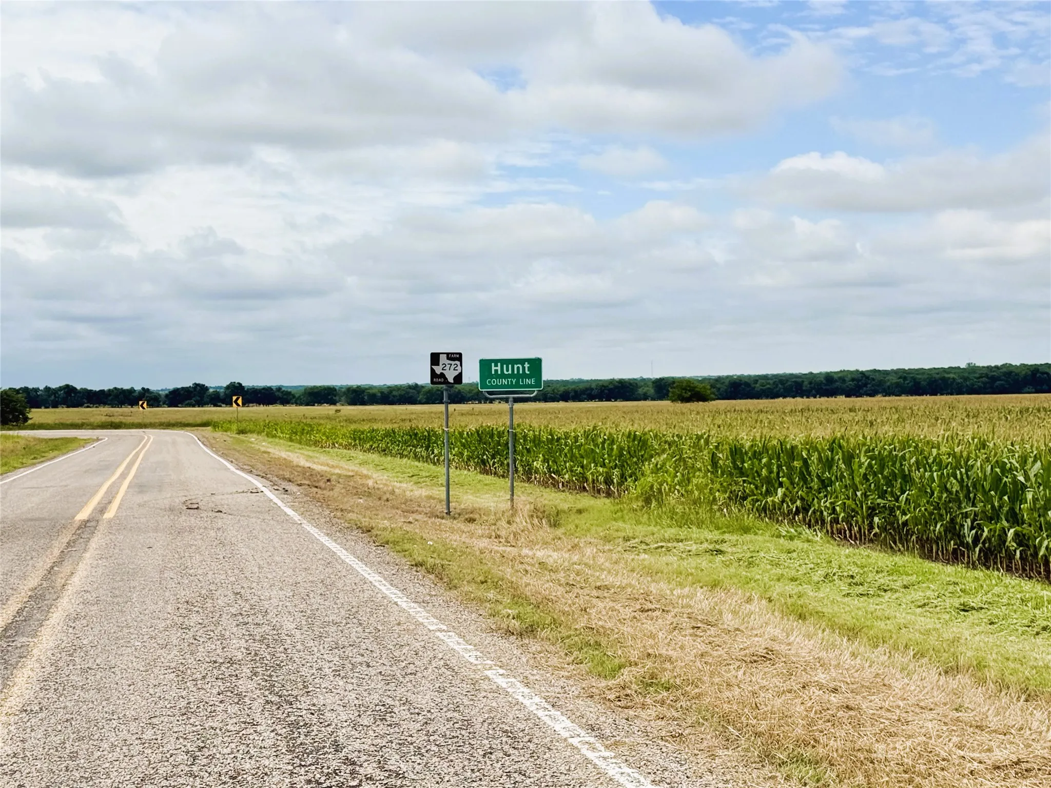 Unimproved Land For Sale in Fannin County , TBD FM HWY 272, Leonard, Texas 75452, 0, 0, Garage spaces, 0 Sqft, built in 0, mls#21288604, Real Estate Agent in Leonard, Homes For Sale in Fannin county, Homes For Sale in Leonard, Realtor in Leonard Texas, Real Estate Brokerage Independent Realty Texas, Luminita Cordes Realtor