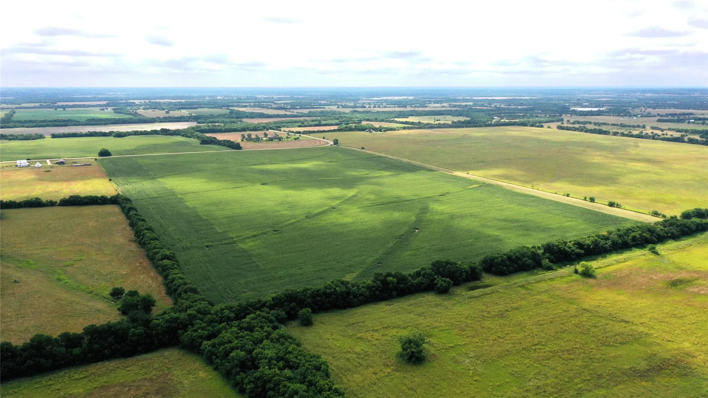 Unimproved Land For Sale in Fannin County , TBD FM HWY 272, Leonard, Texas 75452, 0, 0, Garage spaces, 0 Sqft, built in 0, mls#21288604, Real Estate Agent in Leonard, Homes For Sale in Fannin county, Homes For Sale in Leonard, Realtor in Leonard Texas, Real Estate Brokerage Independent Realty Texas, Luminita Cordes Realtor