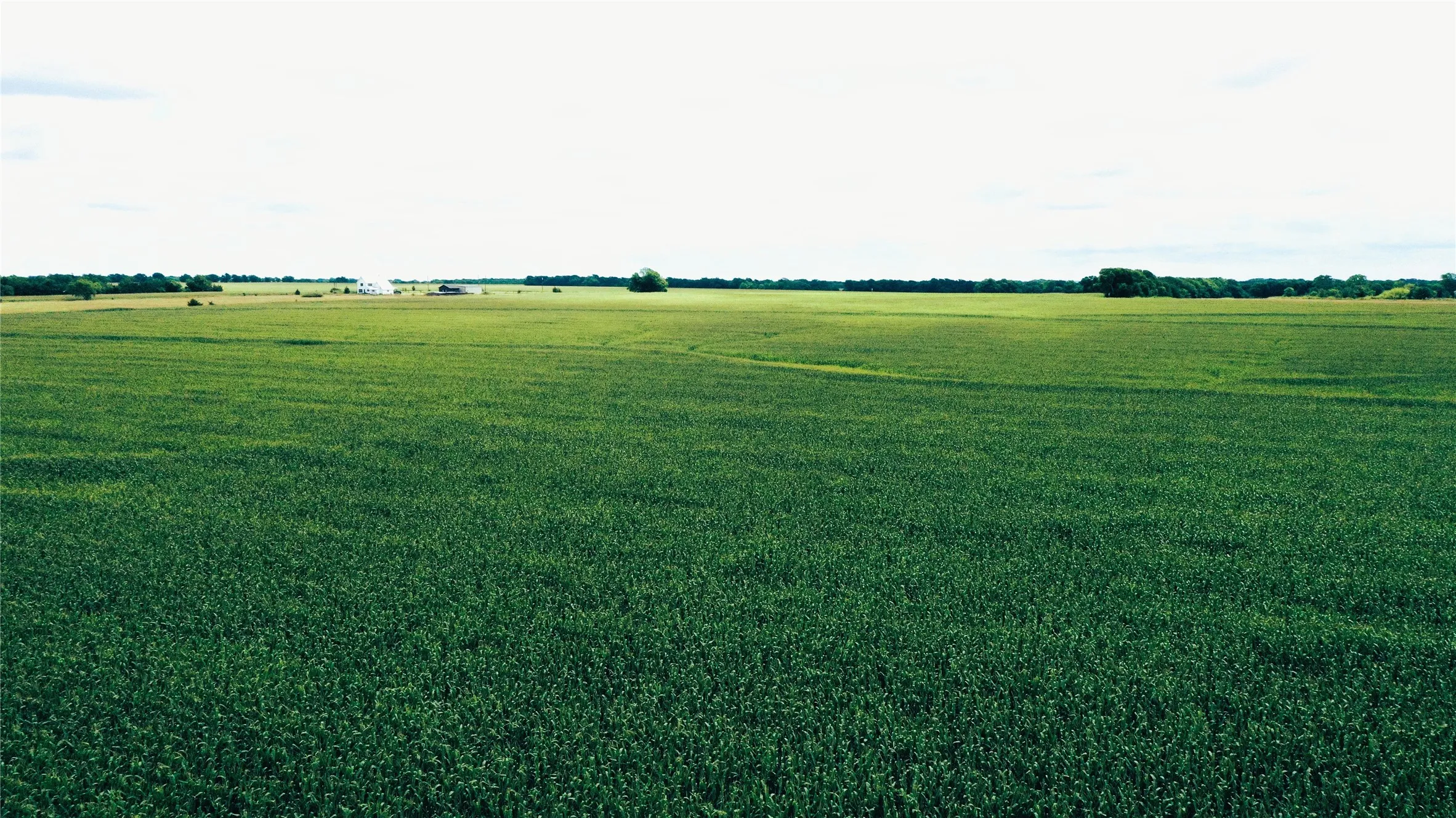 Unimproved Land For Sale in Fannin County , TBD FM HWY 272, Leonard, Texas 75452, 0, 0, Garage spaces, 0 Sqft, built in 0, mls#21288604, Real Estate Agent in Leonard, Homes For Sale in Fannin county, Homes For Sale in Leonard, Realtor in Leonard Texas, Real Estate Brokerage Independent Realty Texas, Luminita Cordes Realtor