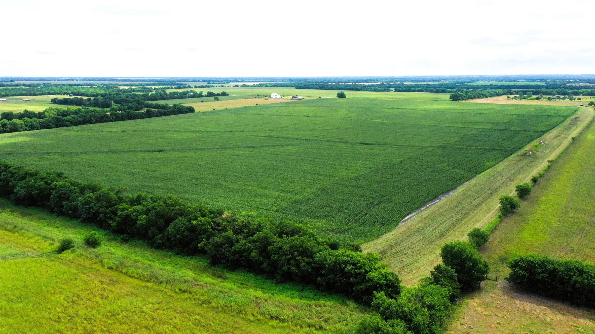 2026 Corn crop to be harvested in August.