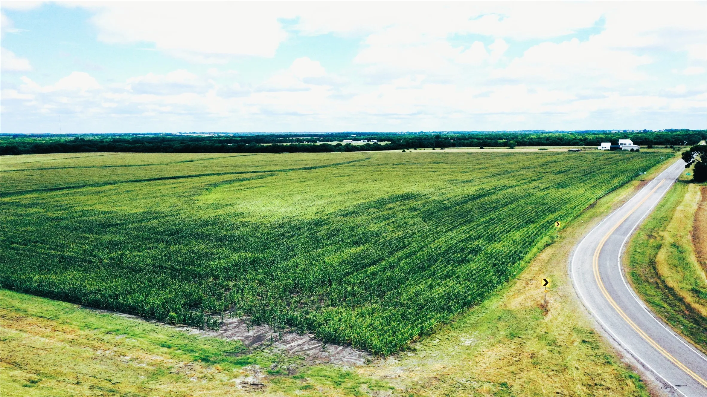 Unimproved Land For Sale in Fannin County , TBD FM HWY 272, Leonard, Texas 75452, 0, 0, Garage spaces, 0 Sqft, built in 0, mls#21288604, Real Estate Agent in Leonard, Homes For Sale in Fannin county, Homes For Sale in Leonard, Realtor in Leonard Texas, Real Estate Brokerage Independent Realty Texas, Luminita Cordes Realtor