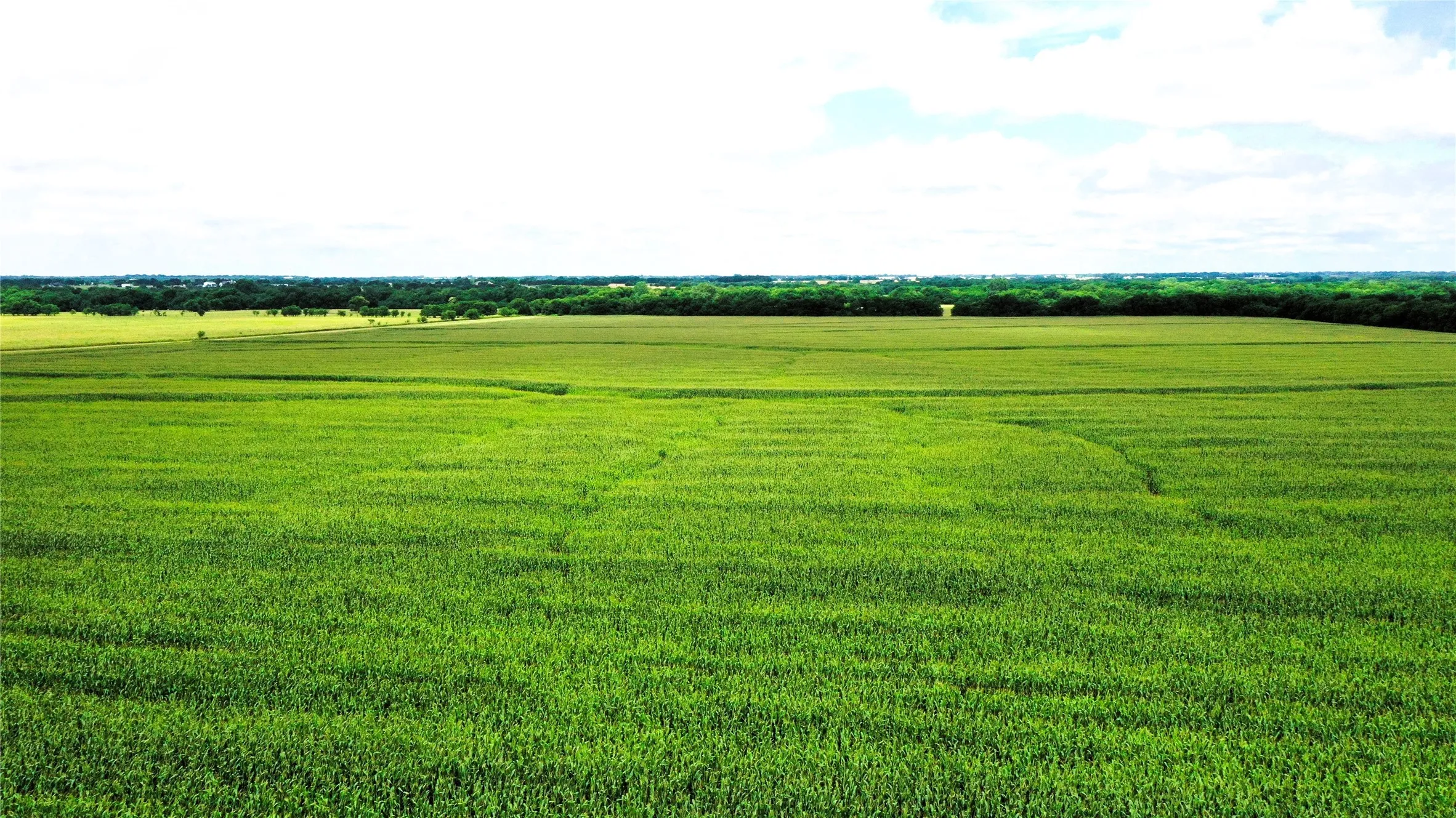 Unimproved Land For Sale in Fannin County , TBD FM HWY 272, Leonard, Texas 75452, 0, 0, Garage spaces, 0 Sqft, built in 0, mls#21288604, Real Estate Agent in Leonard, Homes For Sale in Fannin county, Homes For Sale in Leonard, Realtor in Leonard Texas, Real Estate Brokerage Independent Realty Texas, Luminita Cordes Realtor