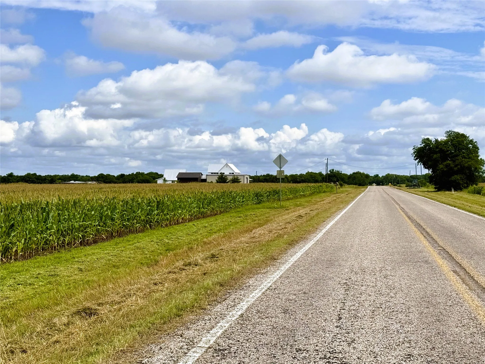 Unimproved Land For Sale in Fannin County , TBD FM HWY 272, Leonard, Texas 75452, 0, 0, Garage spaces, 0 Sqft, built in 0, mls#21288604, Real Estate Agent in Leonard, Homes For Sale in Fannin county, Homes For Sale in Leonard, Realtor in Leonard Texas, Real Estate Brokerage Independent Realty Texas, Luminita Cordes Realtor