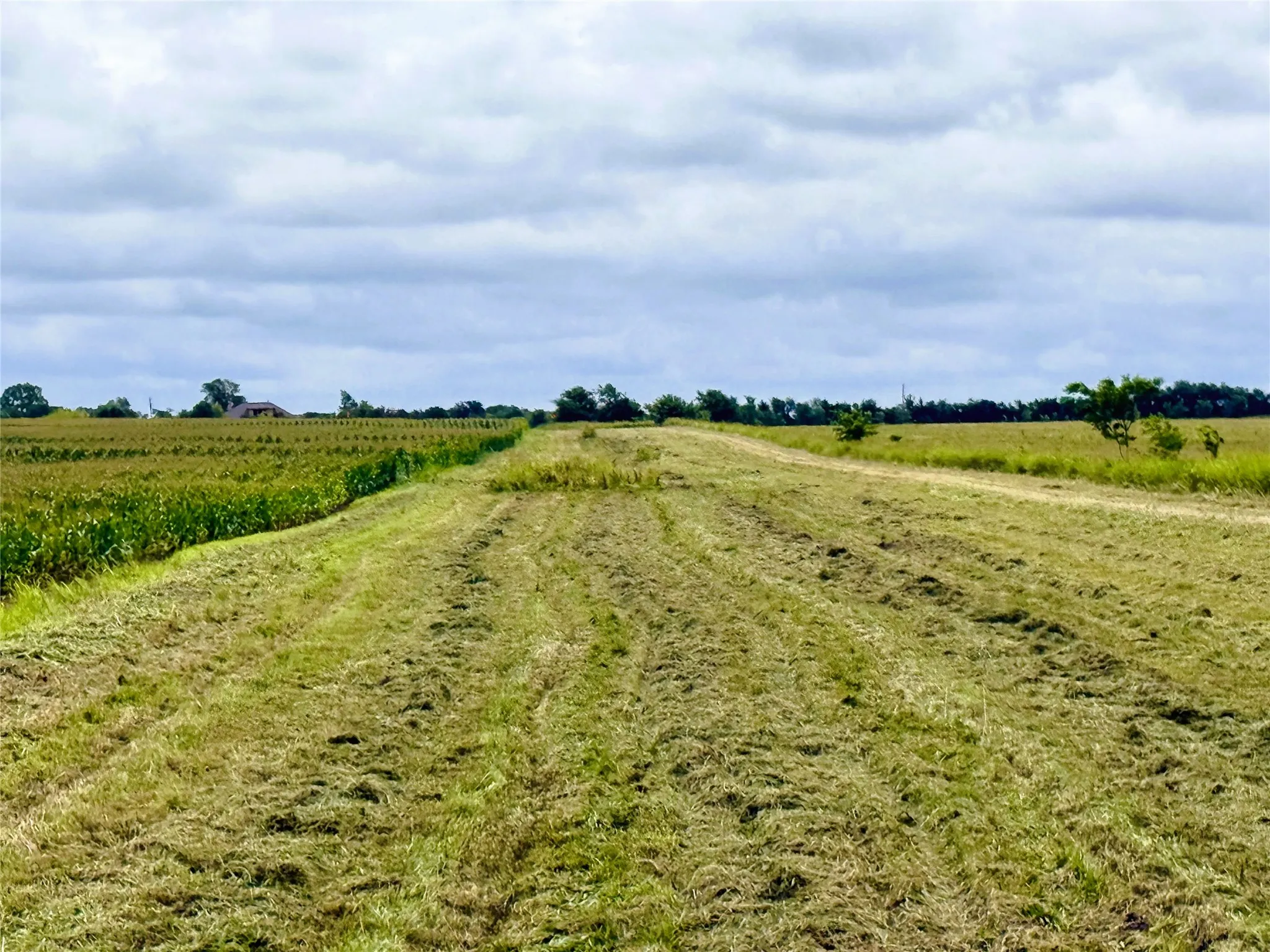 Unimproved Land For Sale in Fannin County , TBD FM HWY 272, Leonard, Texas 75452, 0, 0, Garage spaces, 0 Sqft, built in 0, mls#21288604, Real Estate Agent in Leonard, Homes For Sale in Fannin county, Homes For Sale in Leonard, Realtor in Leonard Texas, Real Estate Brokerage Independent Realty Texas, Luminita Cordes Realtor