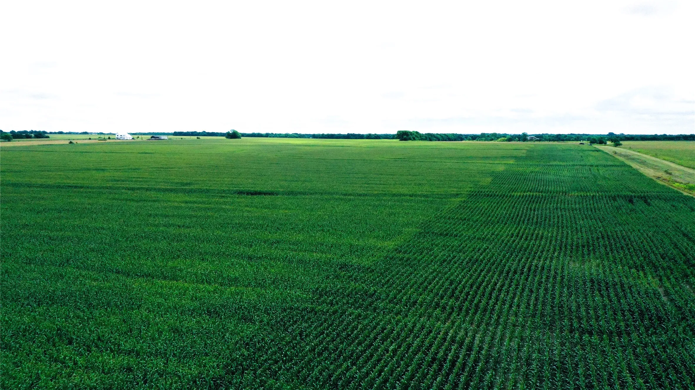Unimproved Land For Sale in Fannin County , TBD FM HWY 272, Leonard, Texas 75452, 0, 0, Garage spaces, 0 Sqft, built in 0, mls#21288604, Real Estate Agent in Leonard, Homes For Sale in Fannin county, Homes For Sale in Leonard, Realtor in Leonard Texas, Real Estate Brokerage Independent Realty Texas, Luminita Cordes Realtor