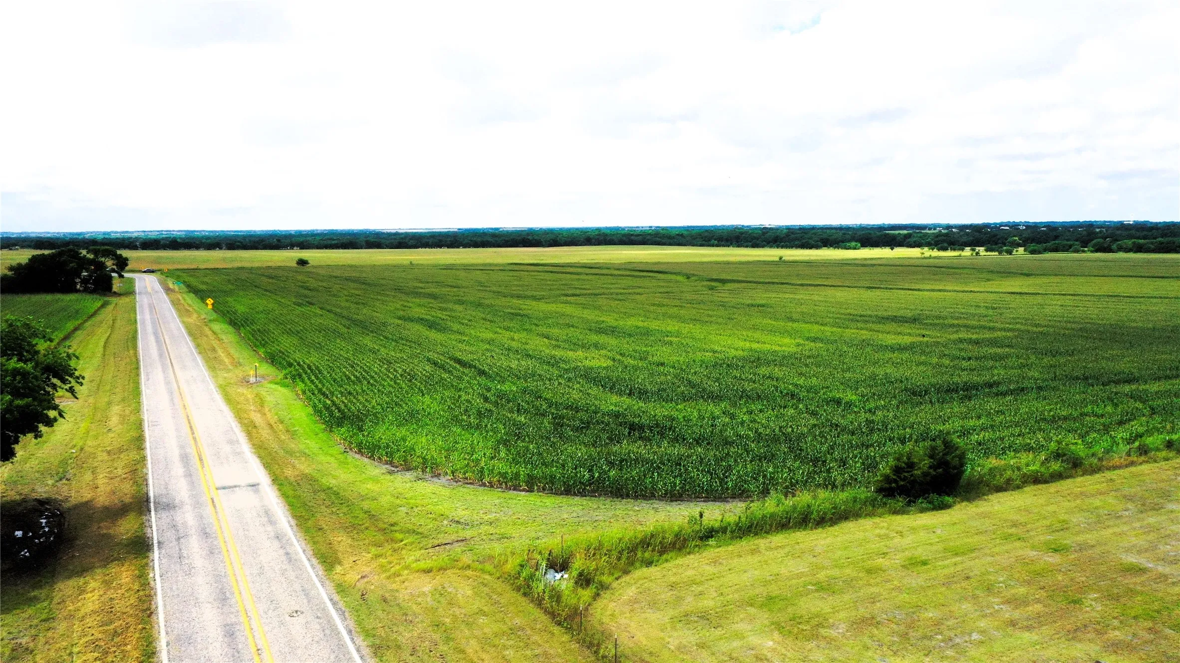 Unimproved Land For Sale in Fannin County , TBD FM HWY 272, Leonard, Texas 75452, 0, 0, Garage spaces, 0 Sqft, built in 0, mls#21288604, Real Estate Agent in Leonard, Homes For Sale in Fannin county, Homes For Sale in Leonard, Realtor in Leonard Texas, Real Estate Brokerage Independent Realty Texas, Luminita Cordes Realtor