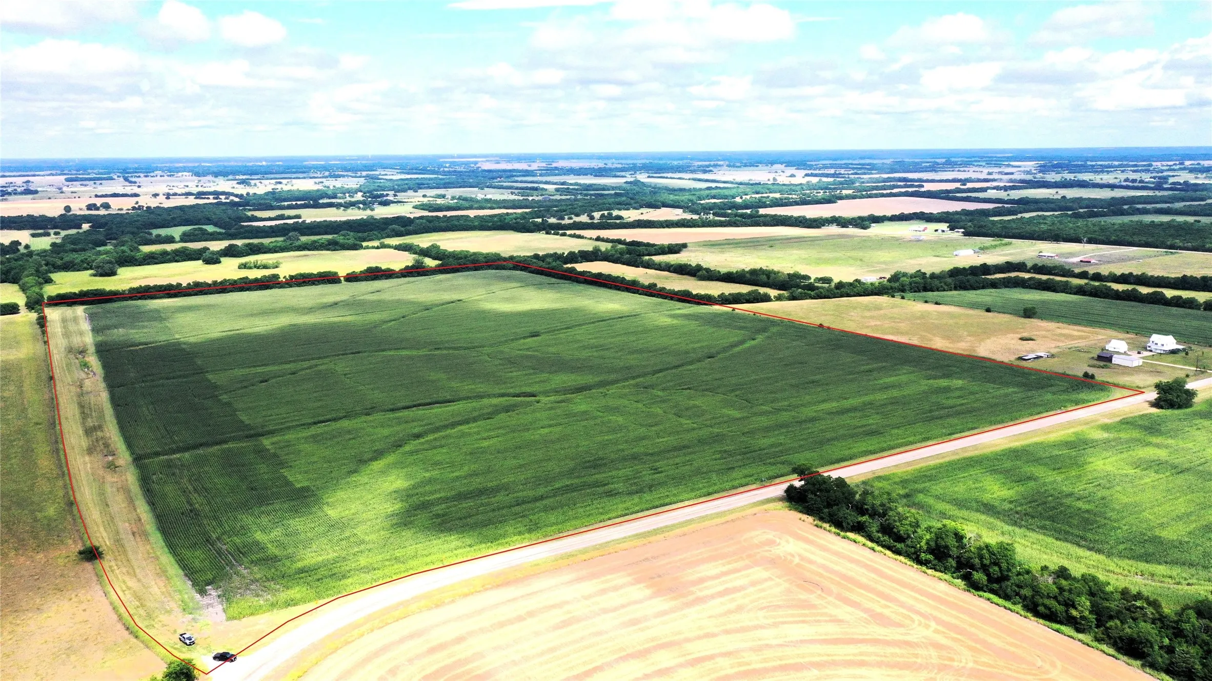 Unimproved Land For Sale in Fannin County , TBD FM HWY 272, Leonard, Texas 75452, 0, 0, Garage spaces, 0 Sqft, built in 0, mls#21288604, Real Estate Agent in Leonard, Homes For Sale in Fannin county, Homes For Sale in Leonard, Realtor in Leonard Texas, Real Estate Brokerage Independent Realty Texas, Luminita Cordes Realtor