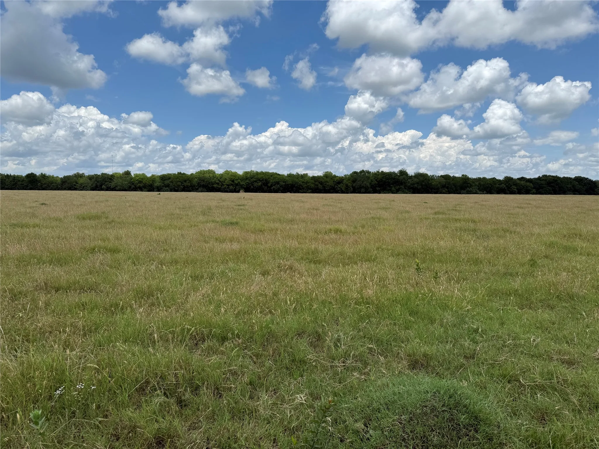 Farm For Sale in Grayson County , 18048 Us-69, Whitewright, Texas 75491, 4 Bedroom, 4 Bathroom, Garage spaces, 3,399 Sqft, built in 1972, Price $2,516,521, mls#21291432, Real Estate Agent in Whitewright, Homes For Sale in Grayson county, Homes For Sale in Whitewright, Realtor in Whitewright Texas, Real Estate Brokerage Independent Realty Texas, Luminita Cordes Realtor