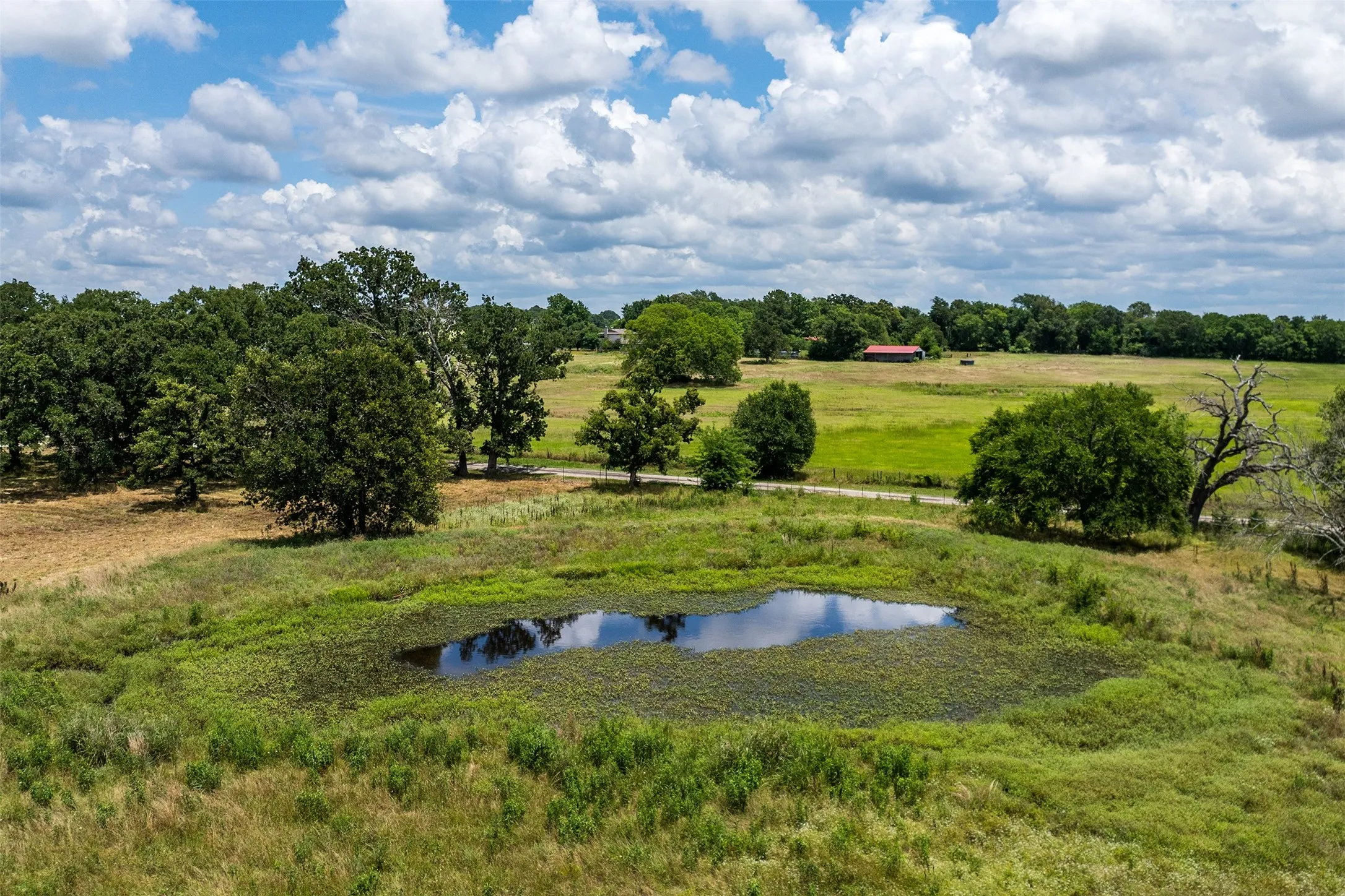 Unimproved Land For Sale in Van Zandt County , 190 County Road 2141, Canton, Texas 75103, 0, 0, Garage spaces, 0 Sqft, built in 0, Price $169,900, mls#21292226, Real Estate Agent in Canton, Homes For Sale in Van Zandt county, Homes For Sale in Canton, Realtor in Canton Texas, Real Estate Brokerage Independent Realty Texas, Luminita Cordes Realtor