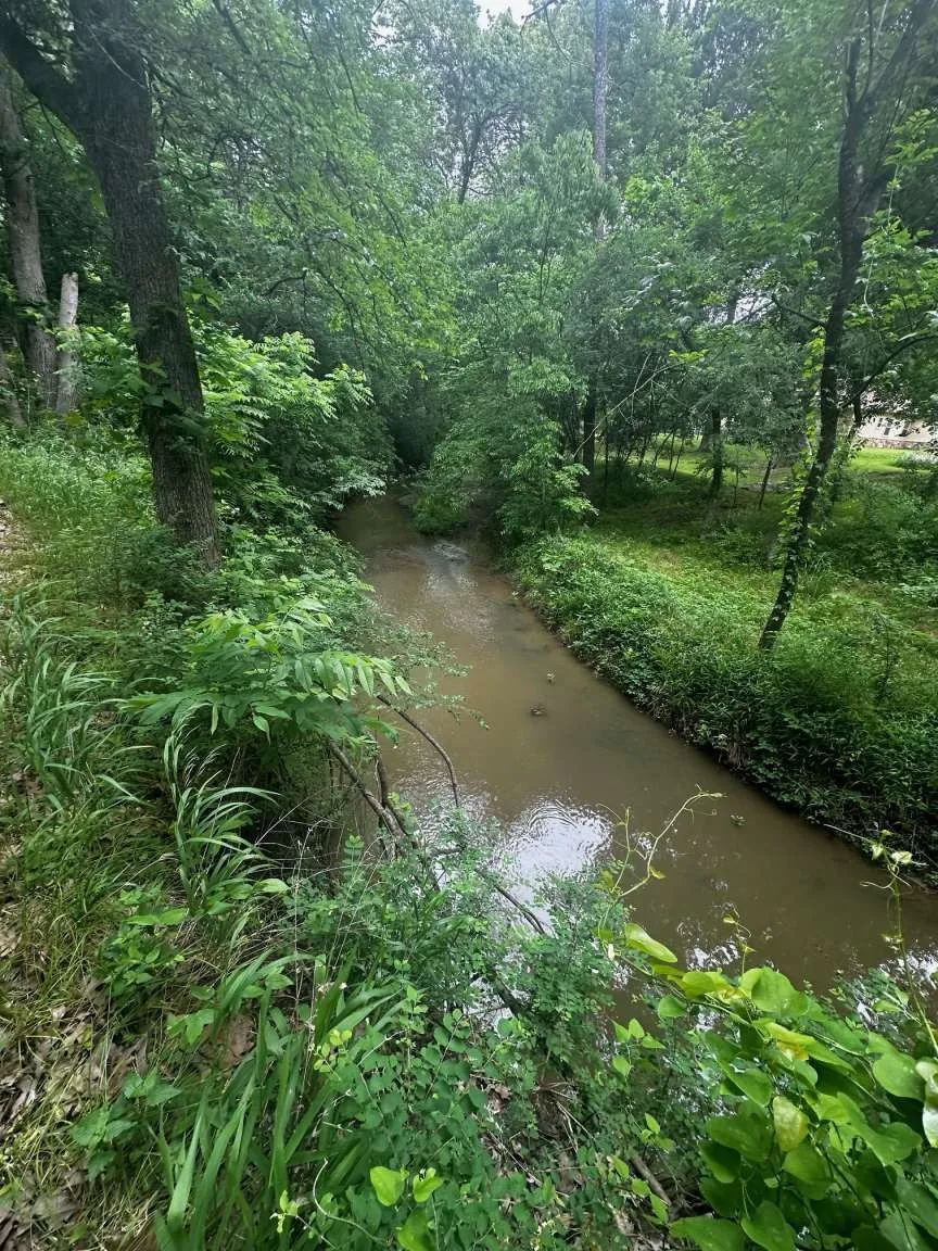 Unimproved Land For Sale in Grayson County , 505 Paxton Road, Gunter, Texas 75058, 0, 0, Garage spaces, 0 Sqft, built in 0, mls#21292354, Real Estate Agent in Gunter, Homes For Sale in Grayson county, Homes For Sale in Gunter, Realtor in Gunter Texas, Real Estate Brokerage Independent Realty Texas, Luminita Cordes Realtor