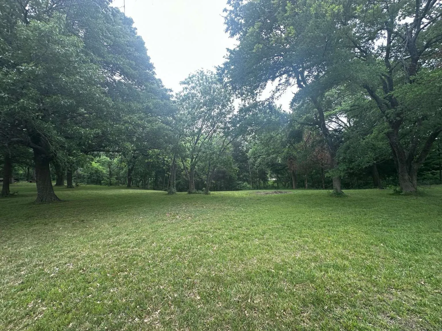 Unimproved Land For Sale in Grayson County , 505 Paxton Road, Gunter, Texas 75058, 0, 0, Garage spaces, 0 Sqft, built in 0, mls#21292354, Real Estate Agent in Gunter, Homes For Sale in Grayson county, Homes For Sale in Gunter, Realtor in Gunter Texas, Real Estate Brokerage Independent Realty Texas, Luminita Cordes Realtor