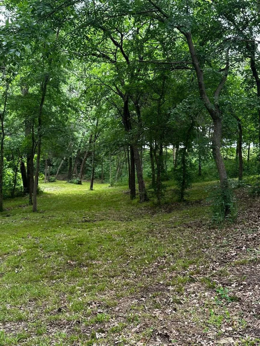 Unimproved Land For Sale in Grayson County , 505 Paxton Road, Gunter, Texas 75058, 0, 0, Garage spaces, 0 Sqft, built in 0, mls#21292354, Real Estate Agent in Gunter, Homes For Sale in Grayson county, Homes For Sale in Gunter, Realtor in Gunter Texas, Real Estate Brokerage Independent Realty Texas, Luminita Cordes Realtor