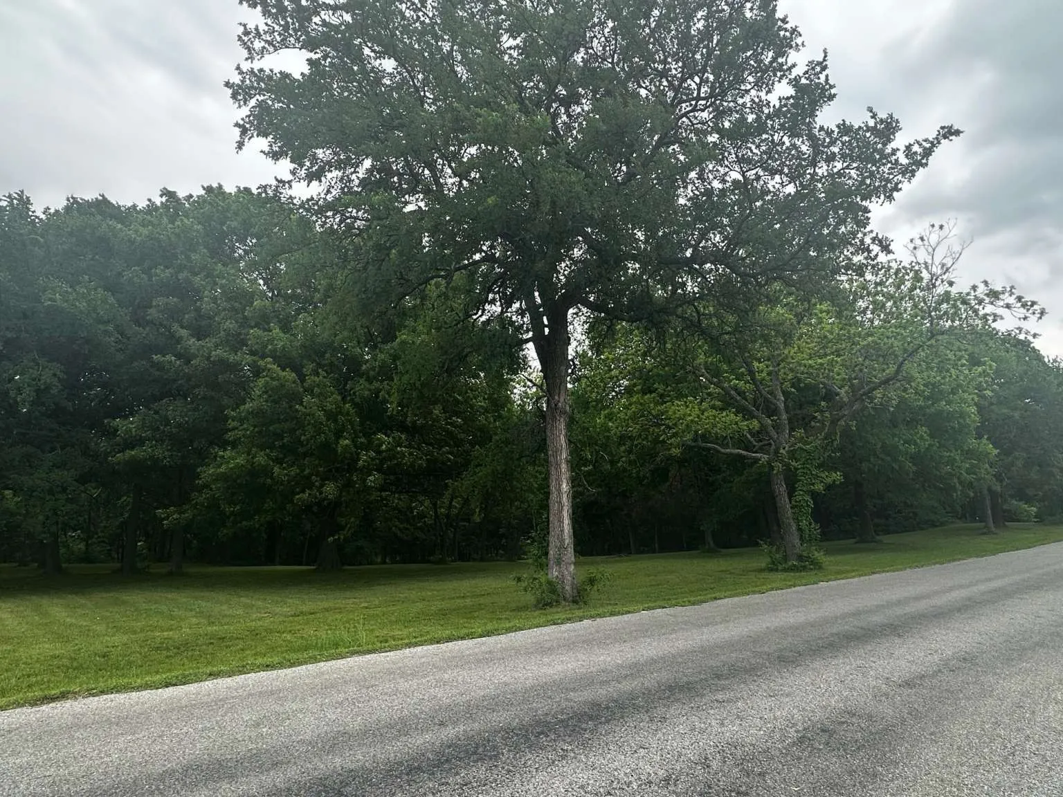 Unimproved Land For Sale in Grayson County , 505 Paxton Road, Gunter, Texas 75058, 0, 0, Garage spaces, 0 Sqft, built in 0, mls#21292354, Real Estate Agent in Gunter, Homes For Sale in Grayson county, Homes For Sale in Gunter, Realtor in Gunter Texas, Real Estate Brokerage Independent Realty Texas, Luminita Cordes Realtor