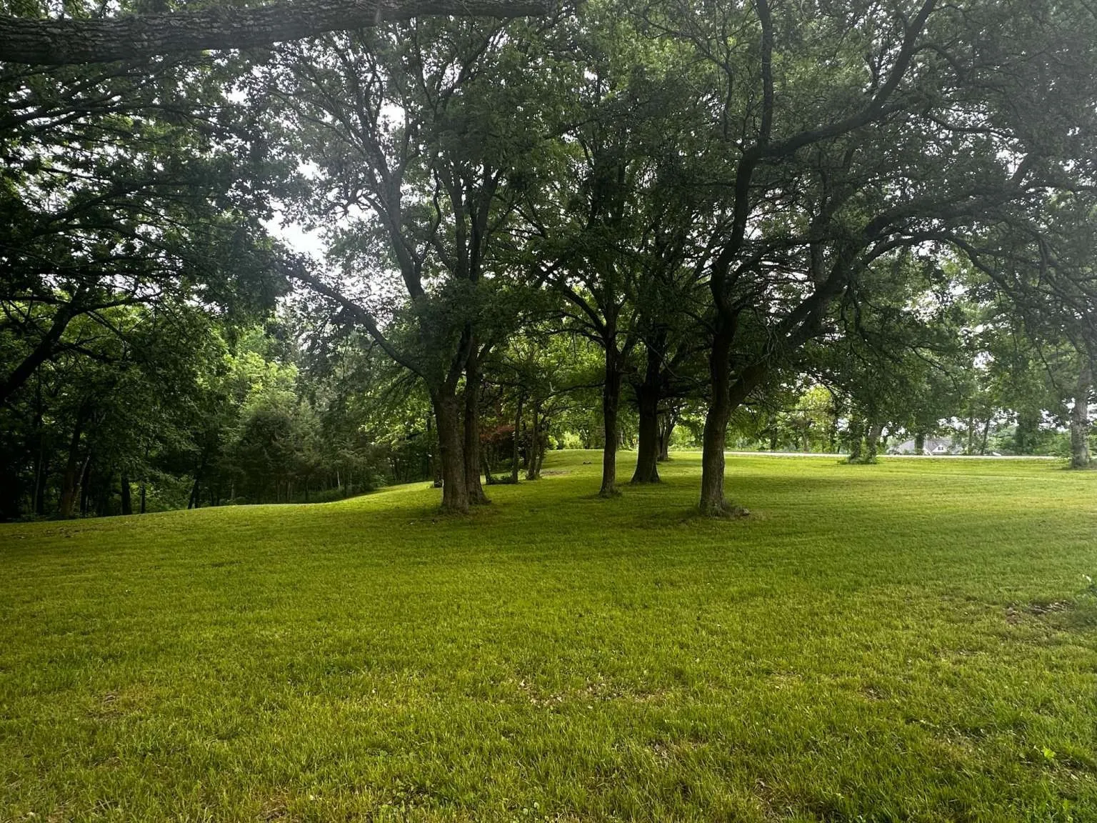 Unimproved Land For Sale in Grayson County , 505 Paxton Road, Gunter, Texas 75058, 0, 0, Garage spaces, 0 Sqft, built in 0, mls#21292354, Real Estate Agent in Gunter, Homes For Sale in Grayson county, Homes For Sale in Gunter, Realtor in Gunter Texas, Real Estate Brokerage Independent Realty Texas, Luminita Cordes Realtor