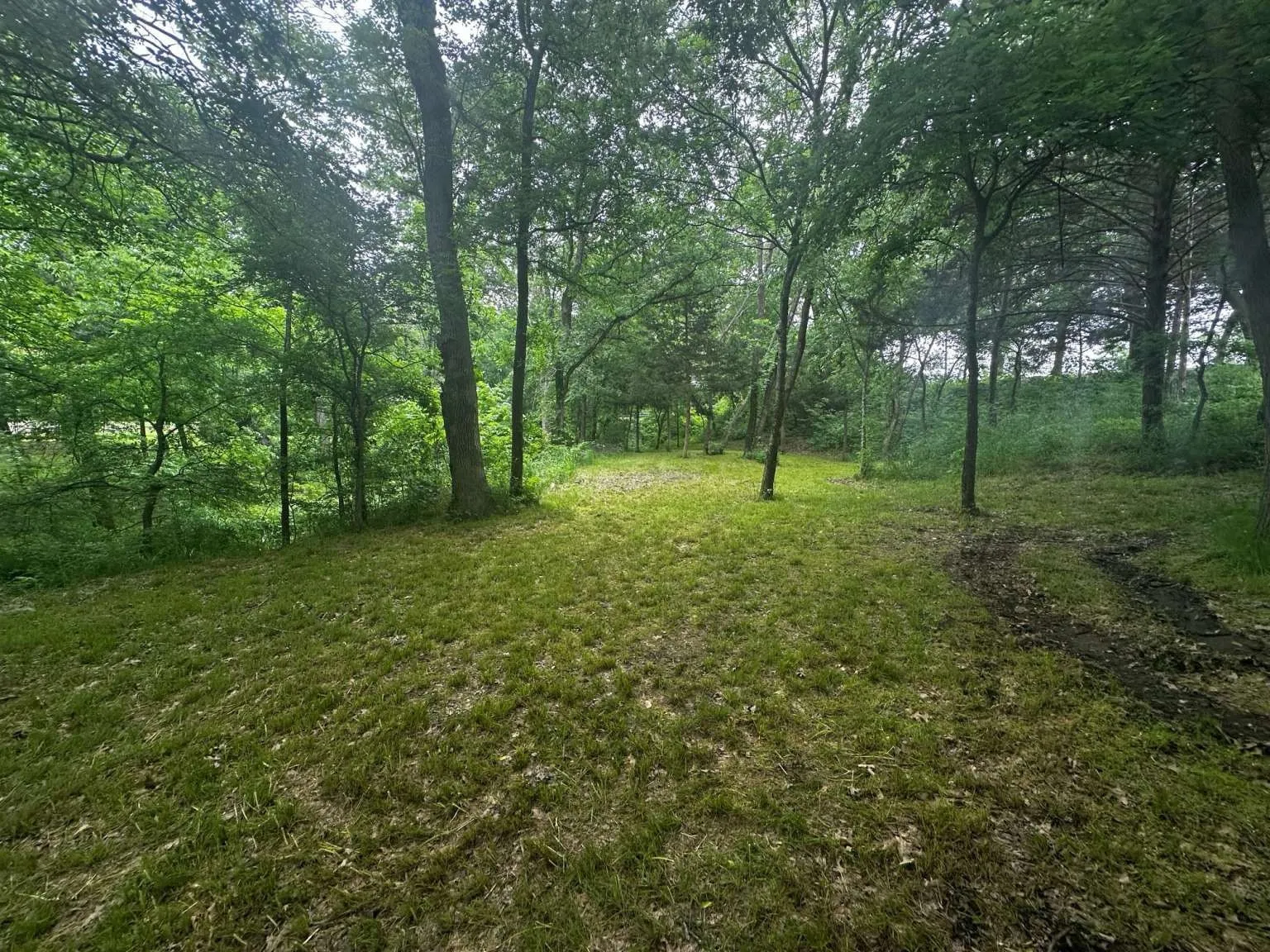 Unimproved Land For Sale in Grayson County , 505 Paxton Road, Gunter, Texas 75058, 0, 0, Garage spaces, 0 Sqft, built in 0, mls#21292354, Real Estate Agent in Gunter, Homes For Sale in Grayson county, Homes For Sale in Gunter, Realtor in Gunter Texas, Real Estate Brokerage Independent Realty Texas, Luminita Cordes Realtor