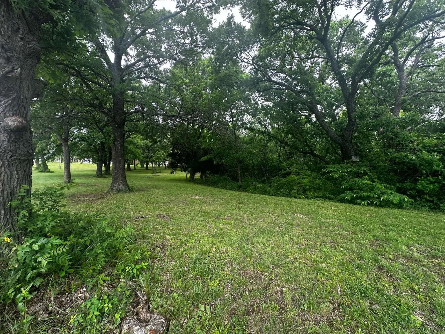 Unimproved Land For Sale in Grayson County , 505 Paxton Road, Gunter, Texas 75058, 0, 0, Garage spaces, 0 Sqft, built in 0, mls#21292354, Real Estate Agent in Gunter, Homes For Sale in Grayson county, Homes For Sale in Gunter, Realtor in Gunter Texas, Real Estate Brokerage Independent Realty Texas, Luminita Cordes Realtor