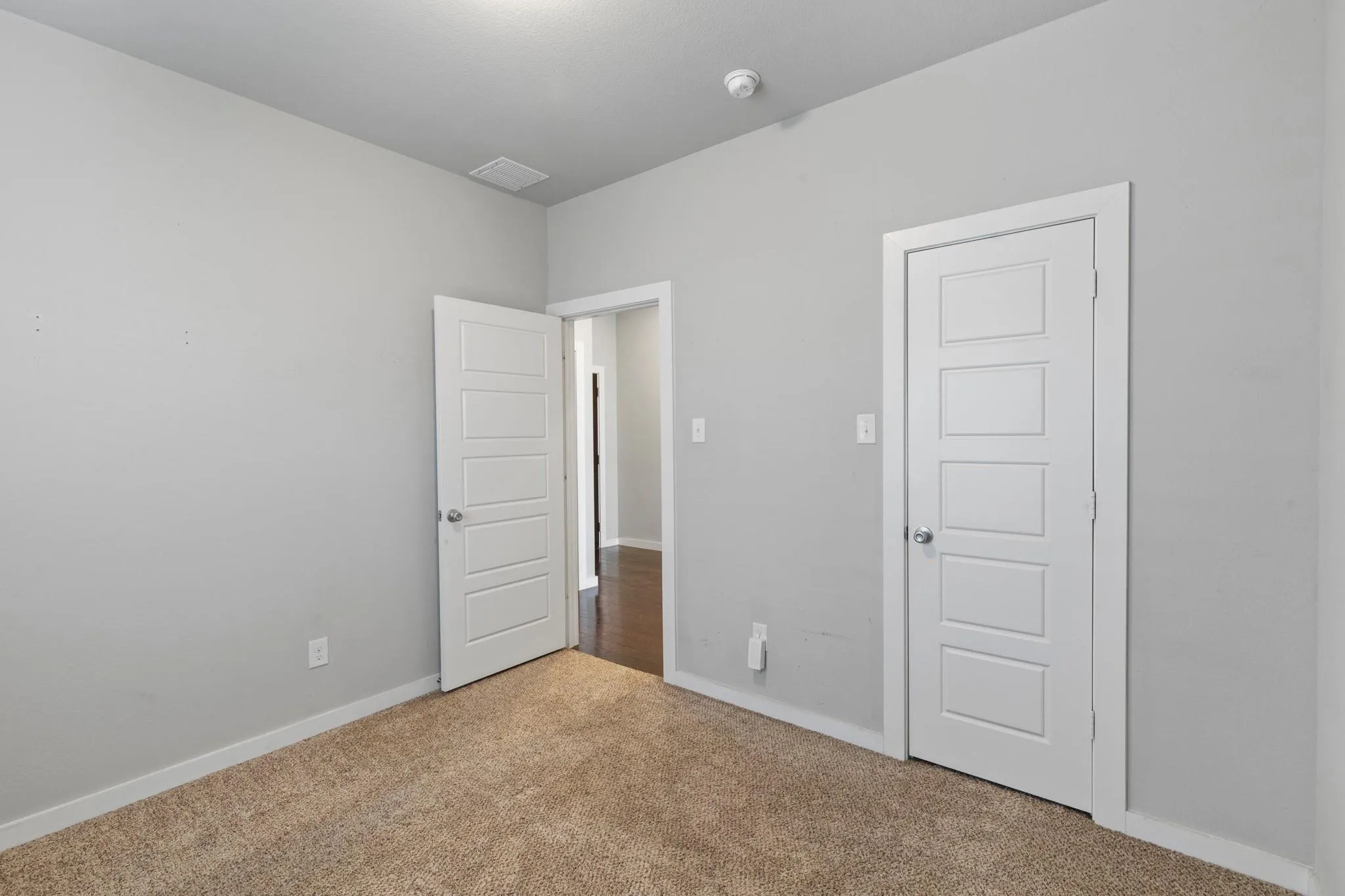 Neutral gray walls with white trim and a textured brown carpet