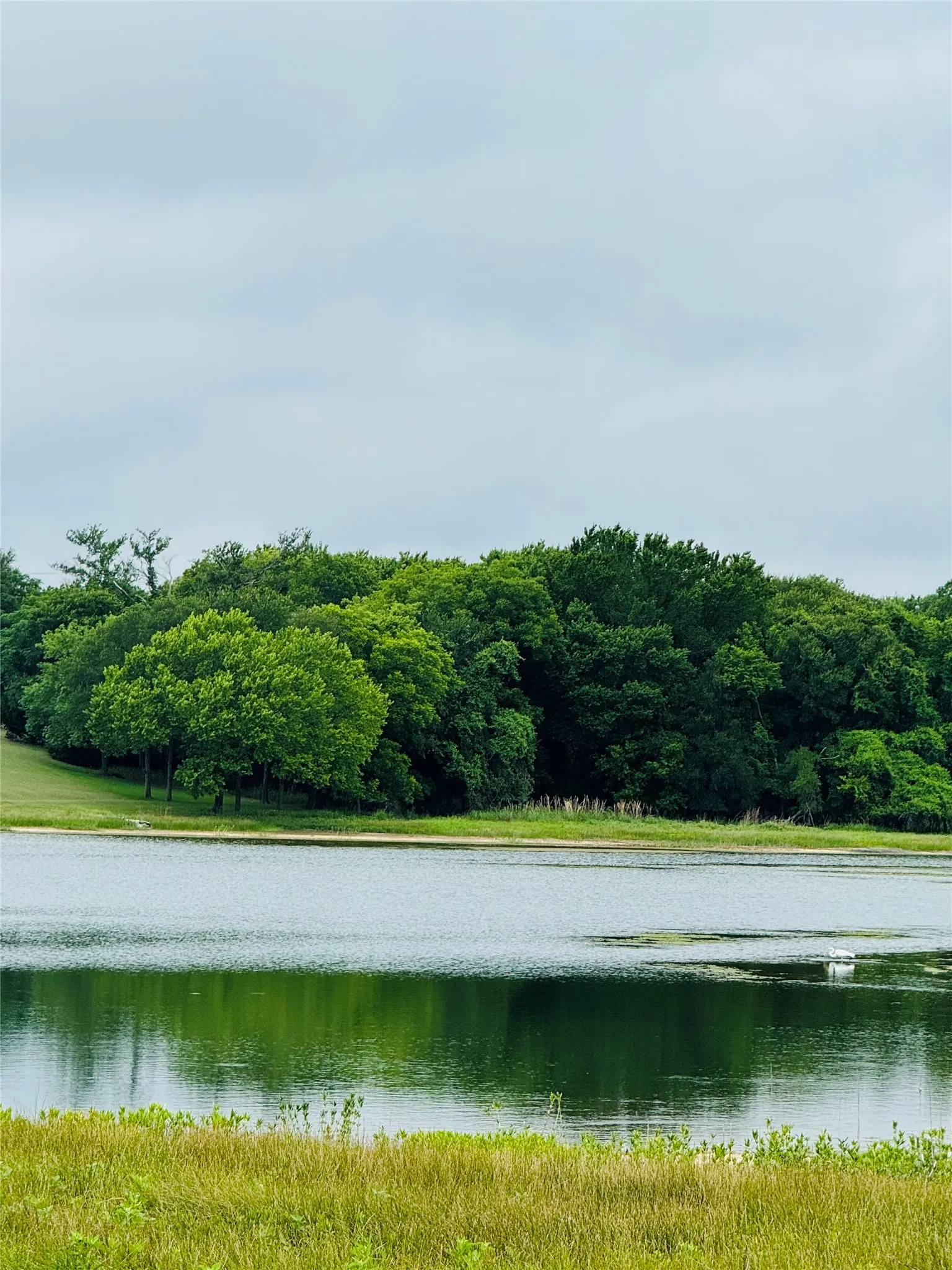 Unimproved Land For Sale in Hill County , 1445 Lakeside Trail, Whitney, Texas 76692, 0, 0, Garage spaces, 0 Sqft, built in 0, Price $45,000, mls#21291086, Real Estate Agent in Whitney, Homes For Sale in Hill county, Homes For Sale in Whitney, Realtor in Whitney Texas, Real Estate Brokerage Independent Realty Texas, Luminita Cordes Realtor