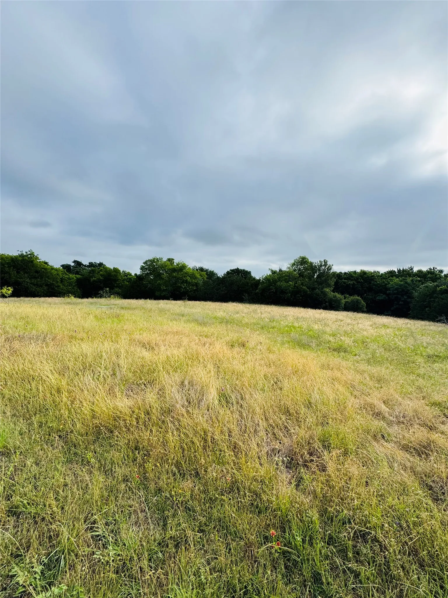 Unimproved Land For Sale in Hill County , 1445 Lakeside Trail, Whitney, Texas 76692, 0, 0, Garage spaces, 0 Sqft, built in 0, Price $45,000, mls#21291086, Real Estate Agent in Whitney, Homes For Sale in Hill county, Homes For Sale in Whitney, Realtor in Whitney Texas, Real Estate Brokerage Independent Realty Texas, Luminita Cordes Realtor