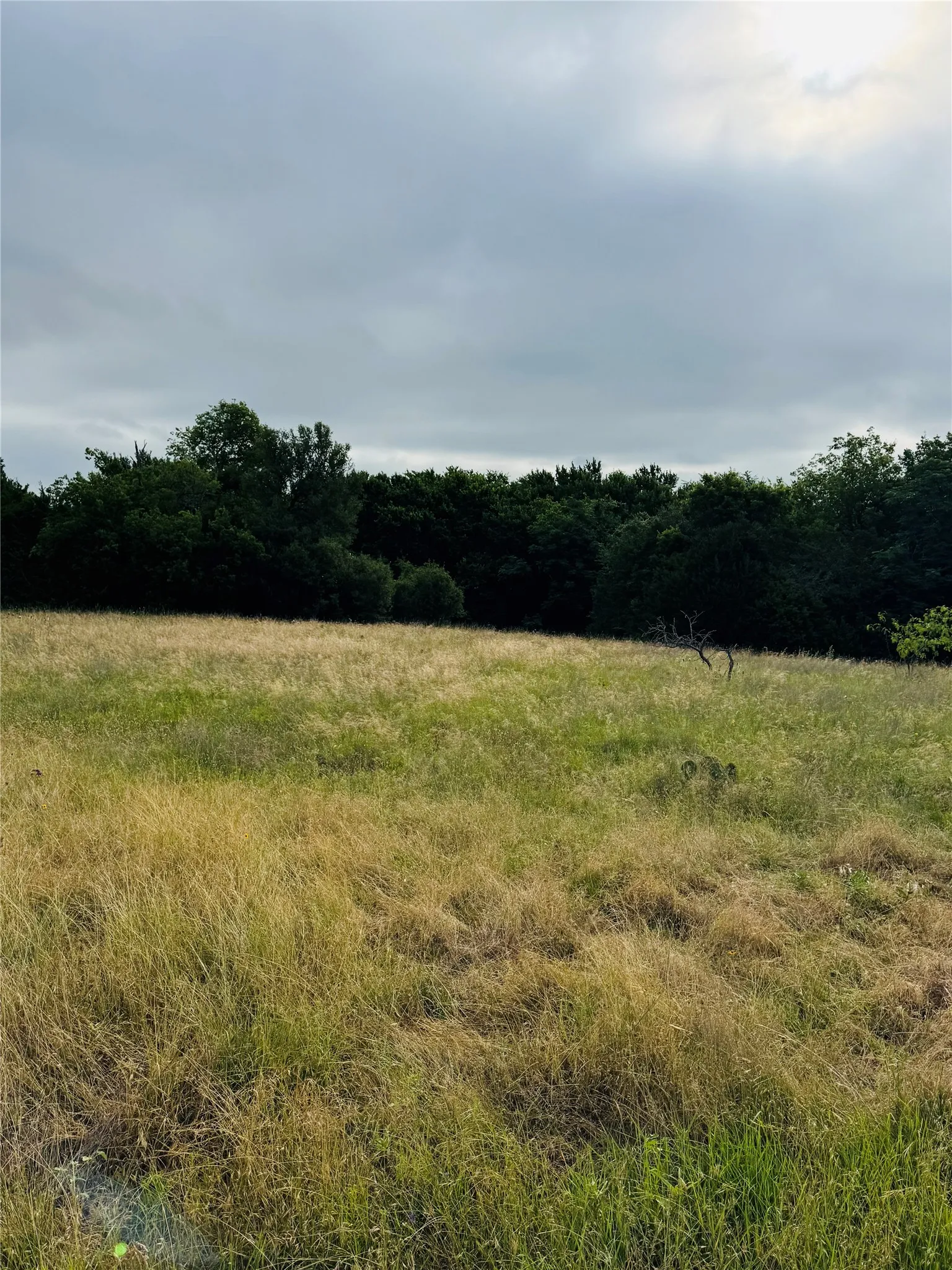 Unimproved Land For Sale in Hill County , 1445 Lakeside Trail, Whitney, Texas 76692, 0, 0, Garage spaces, 0 Sqft, built in 0, Price $45,000, mls#21291086, Real Estate Agent in Whitney, Homes For Sale in Hill county, Homes For Sale in Whitney, Realtor in Whitney Texas, Real Estate Brokerage Independent Realty Texas, Luminita Cordes Realtor